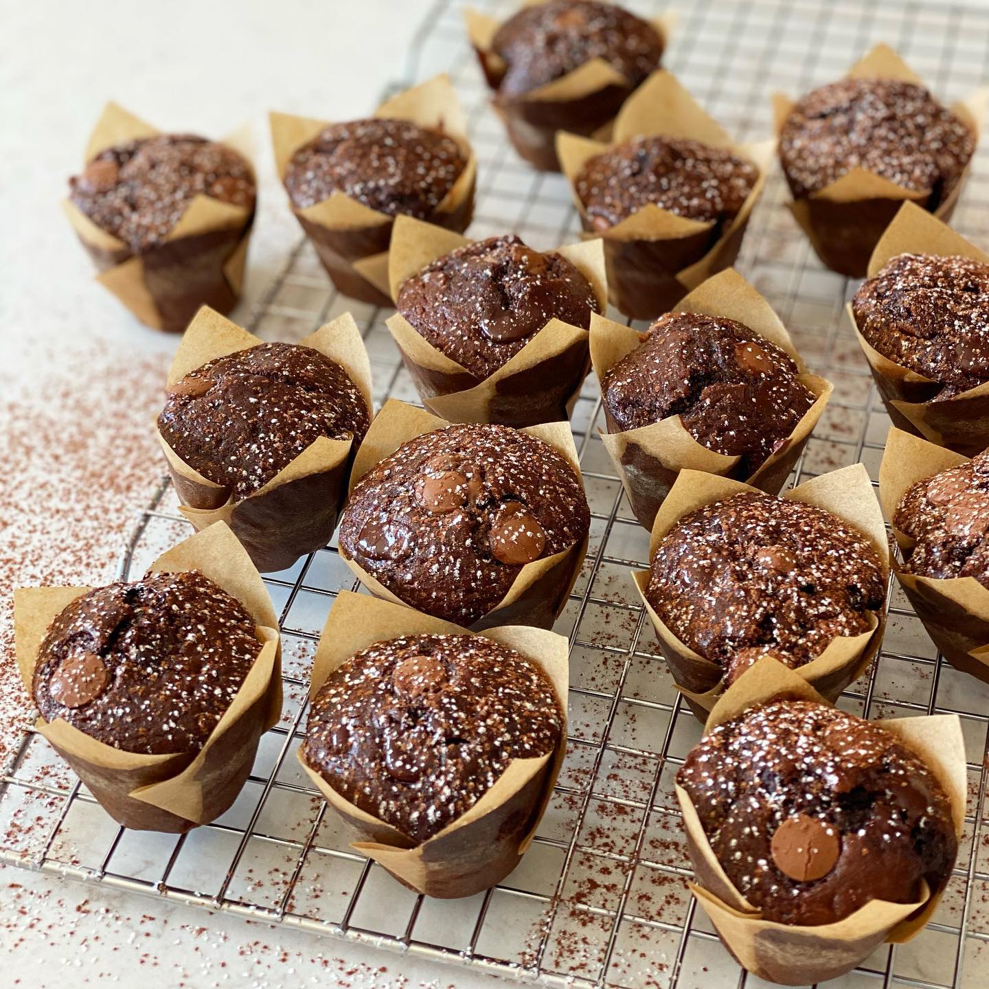 Fudgy Chocolate Mini Muffins