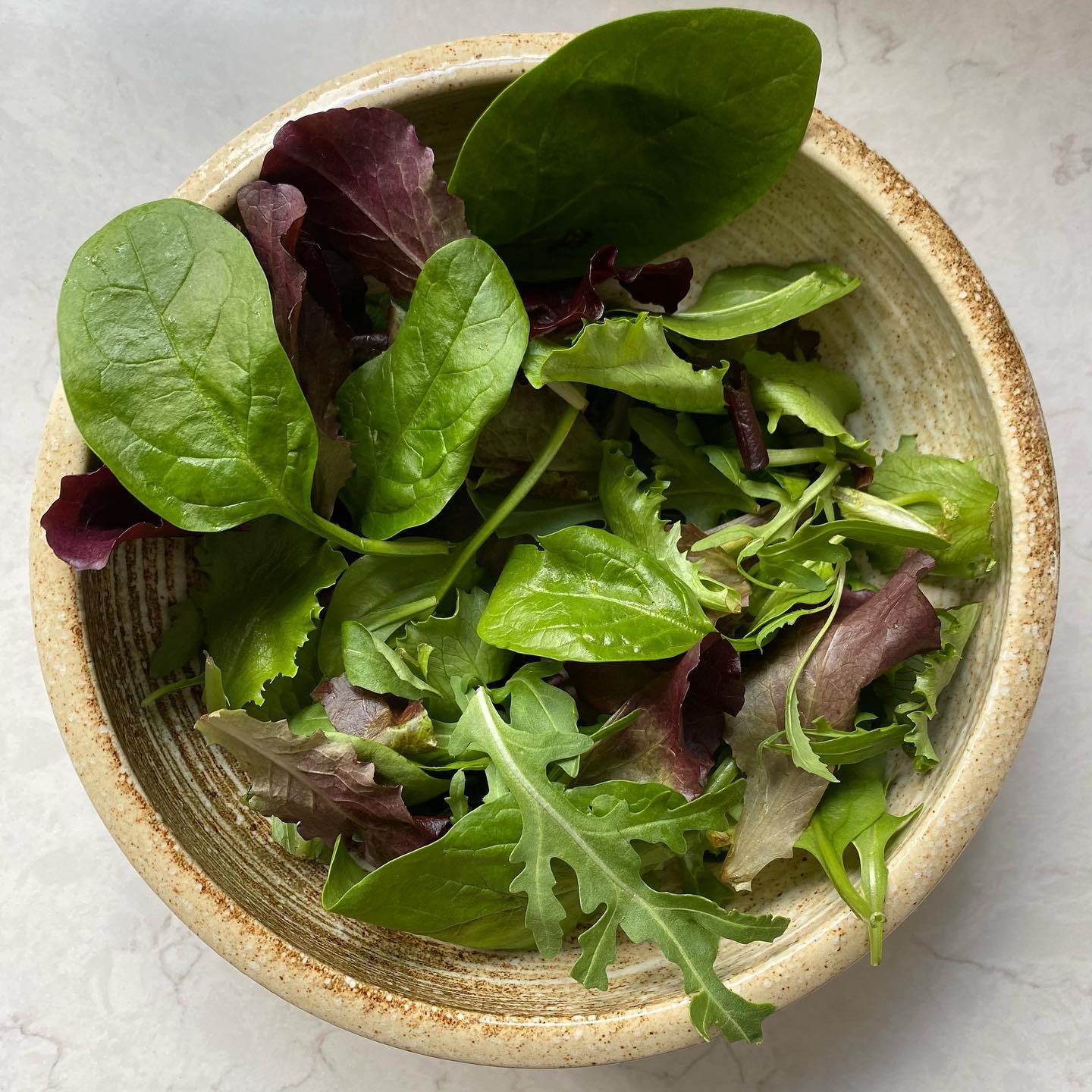 Quick and Easy Vegetable Salad Lunch