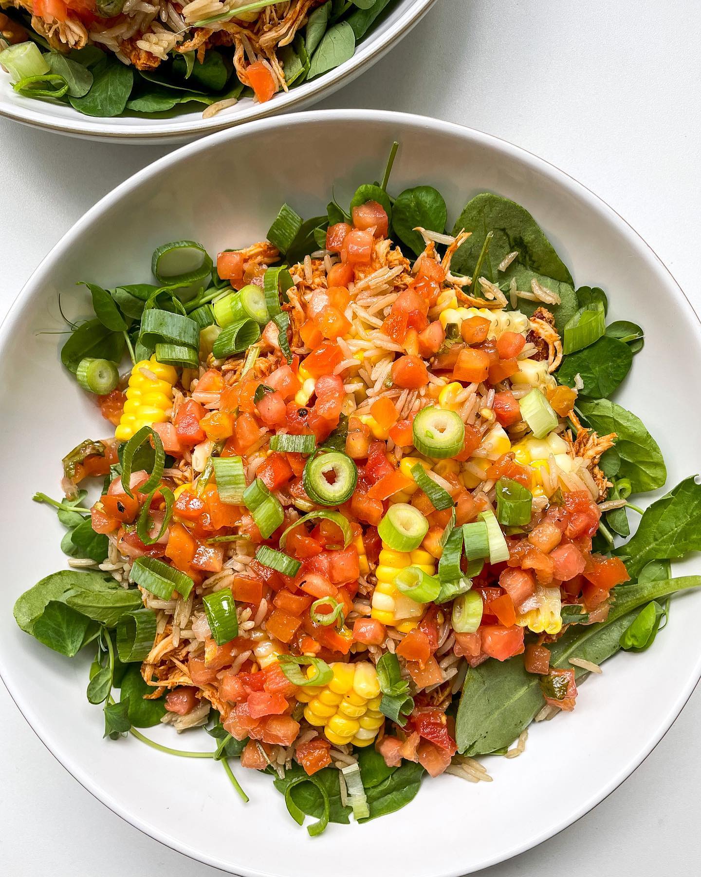 Instant Pot Salsa Chicken Bowls