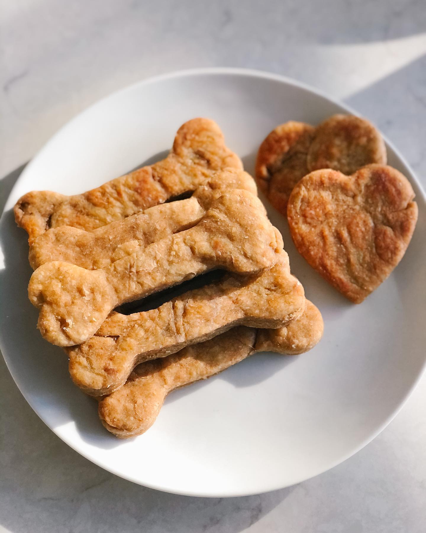 Homemade Dog Treats for Birthday Celebration