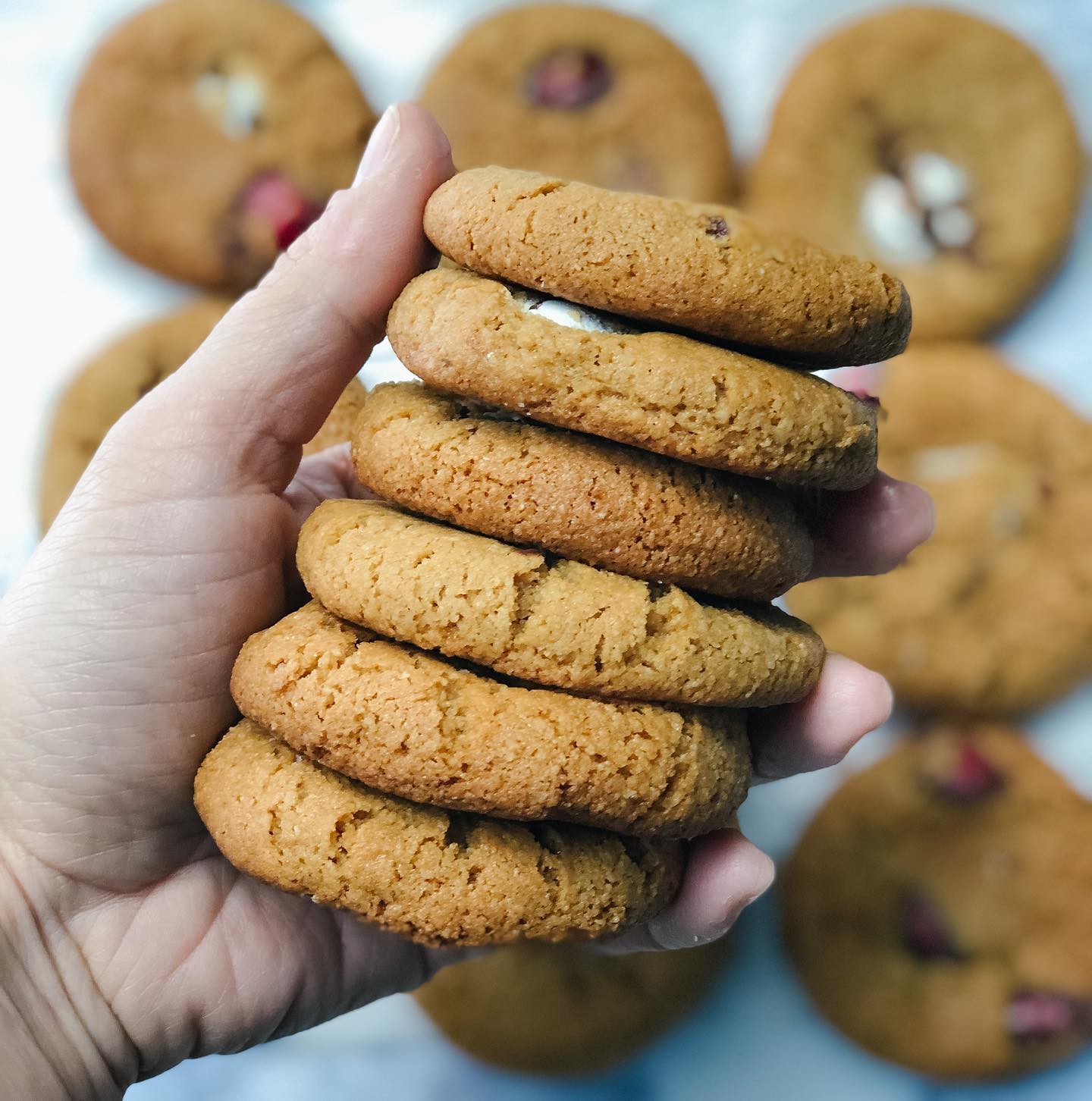 Peppermint Chocolate Paleo Cookies