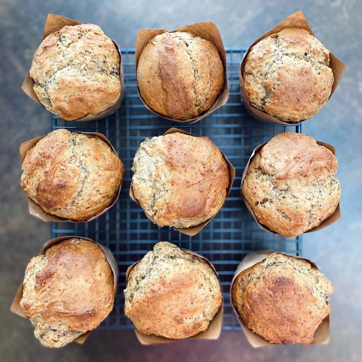 Lemon Poppy Seed Muffins