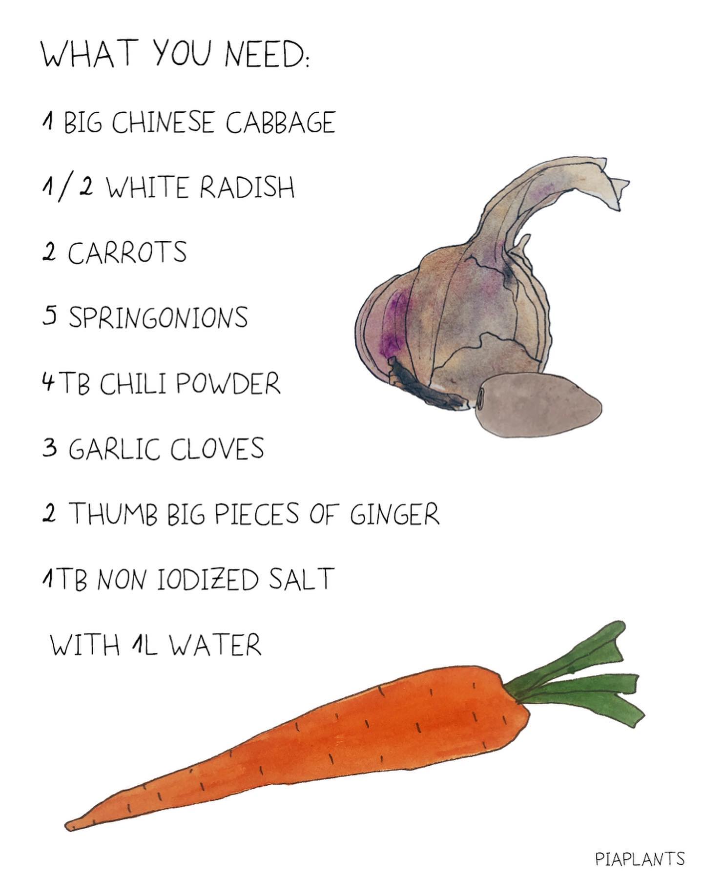 Summer Refreshing Korean Kimchi