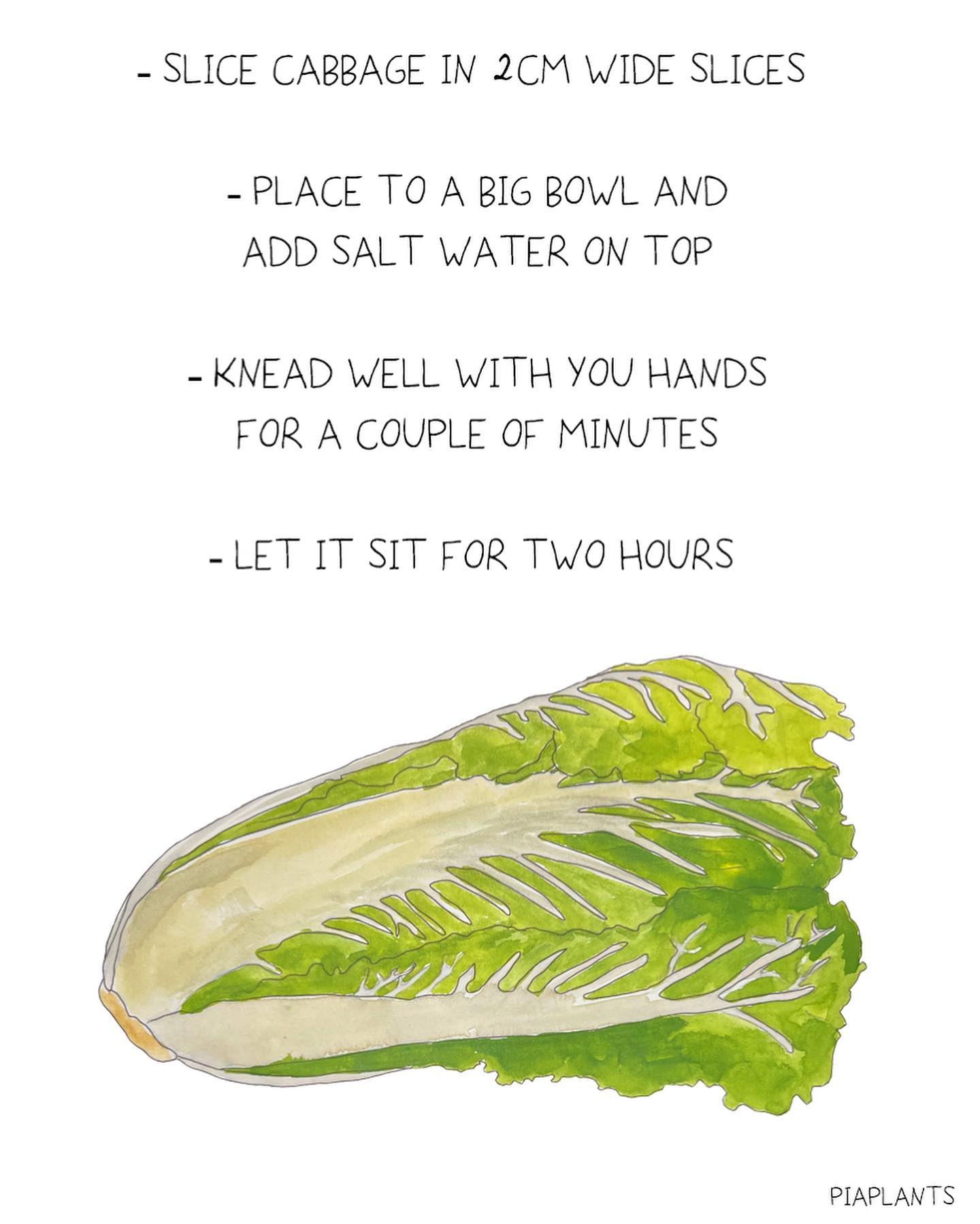 Summer Refreshing Korean Kimchi