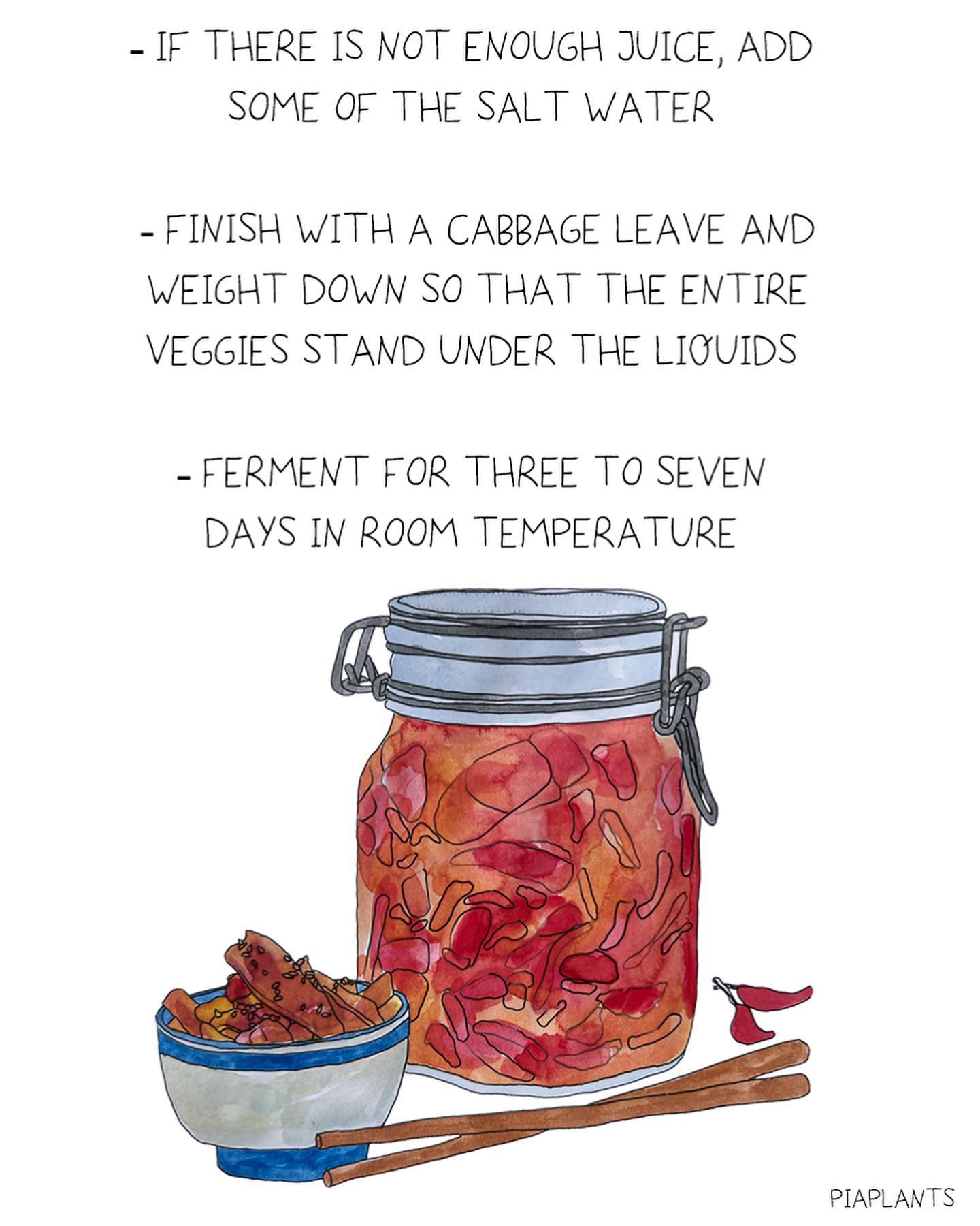 Summer Refreshing Korean Kimchi
