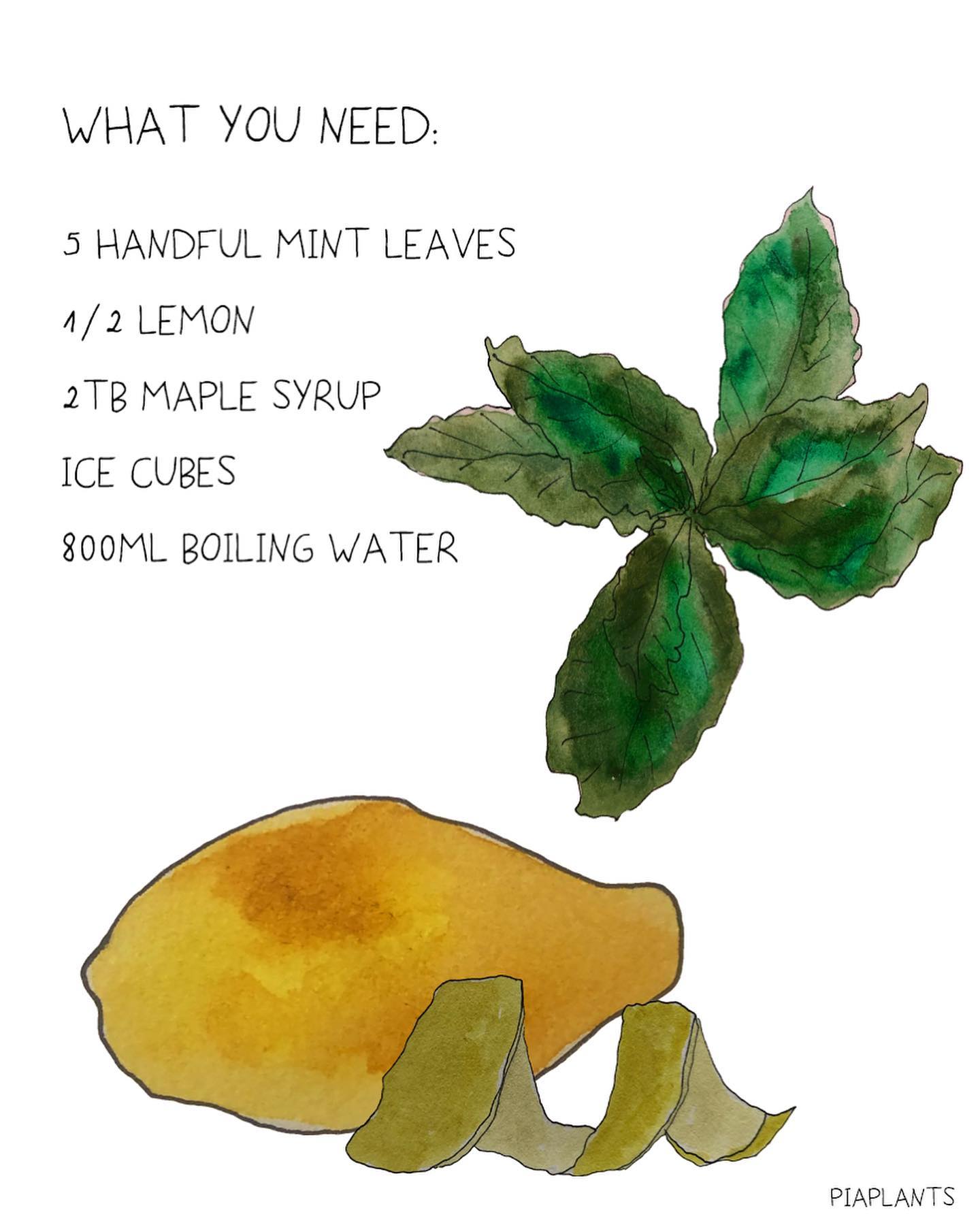Minty Lemonade Recipe for Spring