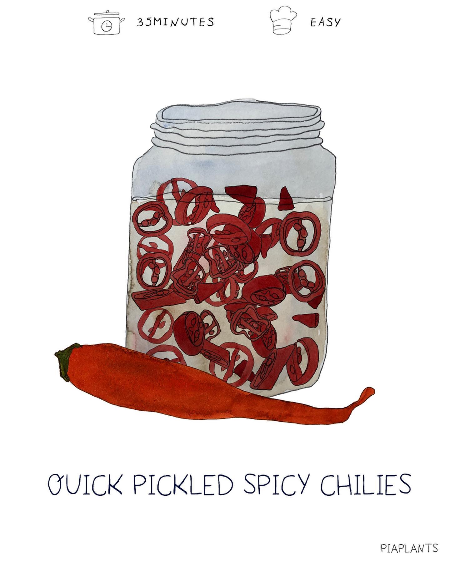 Quick Pickled Red Chilies