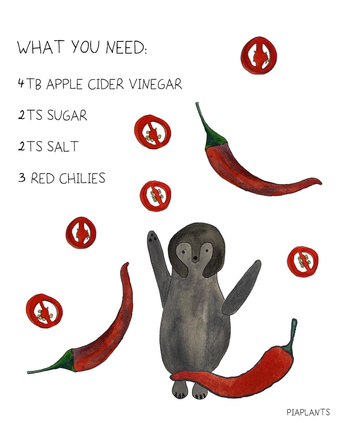 Quick Pickled Red Chilies