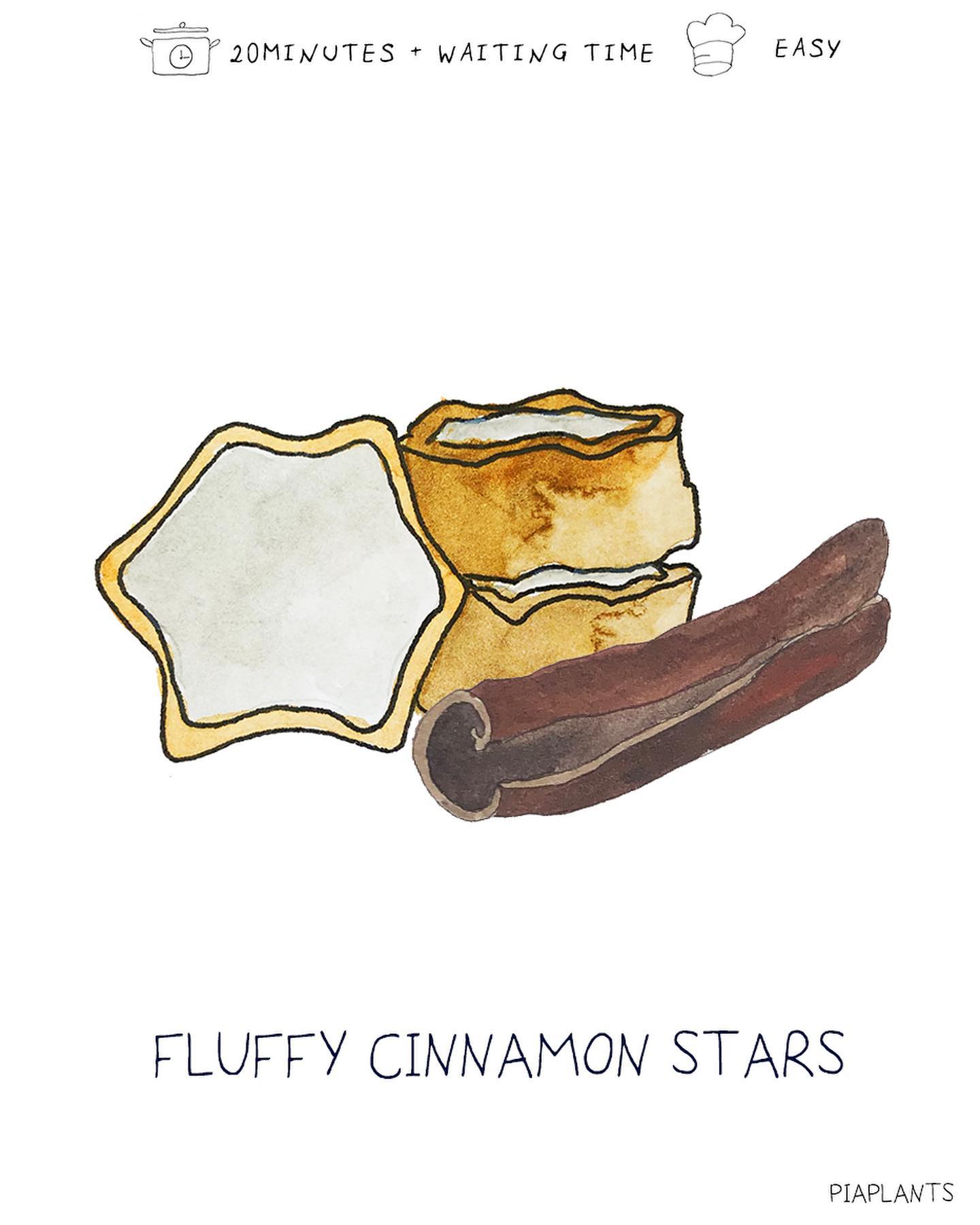 Cinnamon Star Christmas Cookies