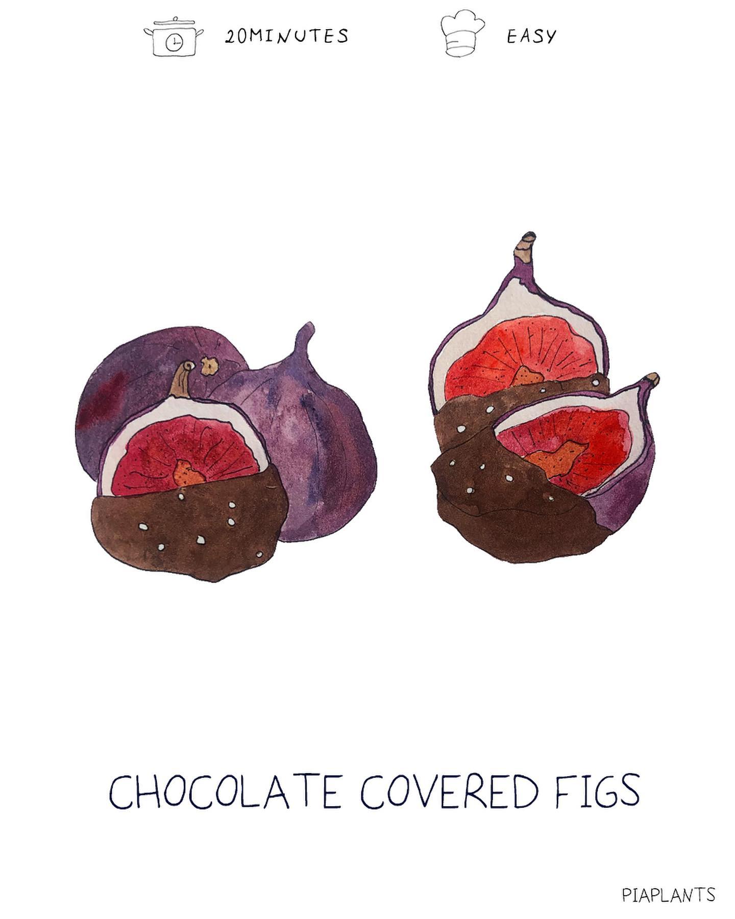 Chocolate Covered Figs with Sea Salt
