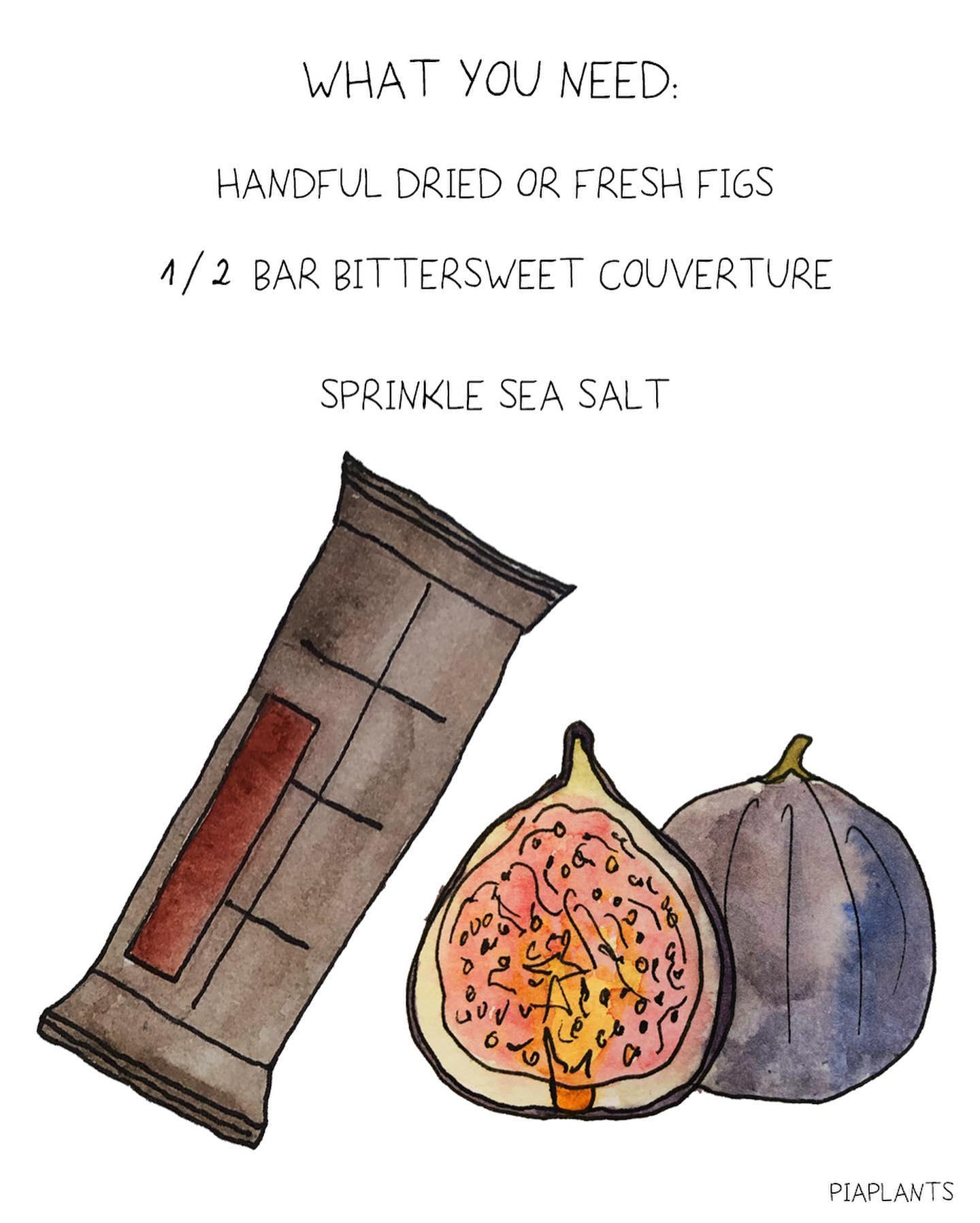 Chocolate Covered Figs with Sea Salt