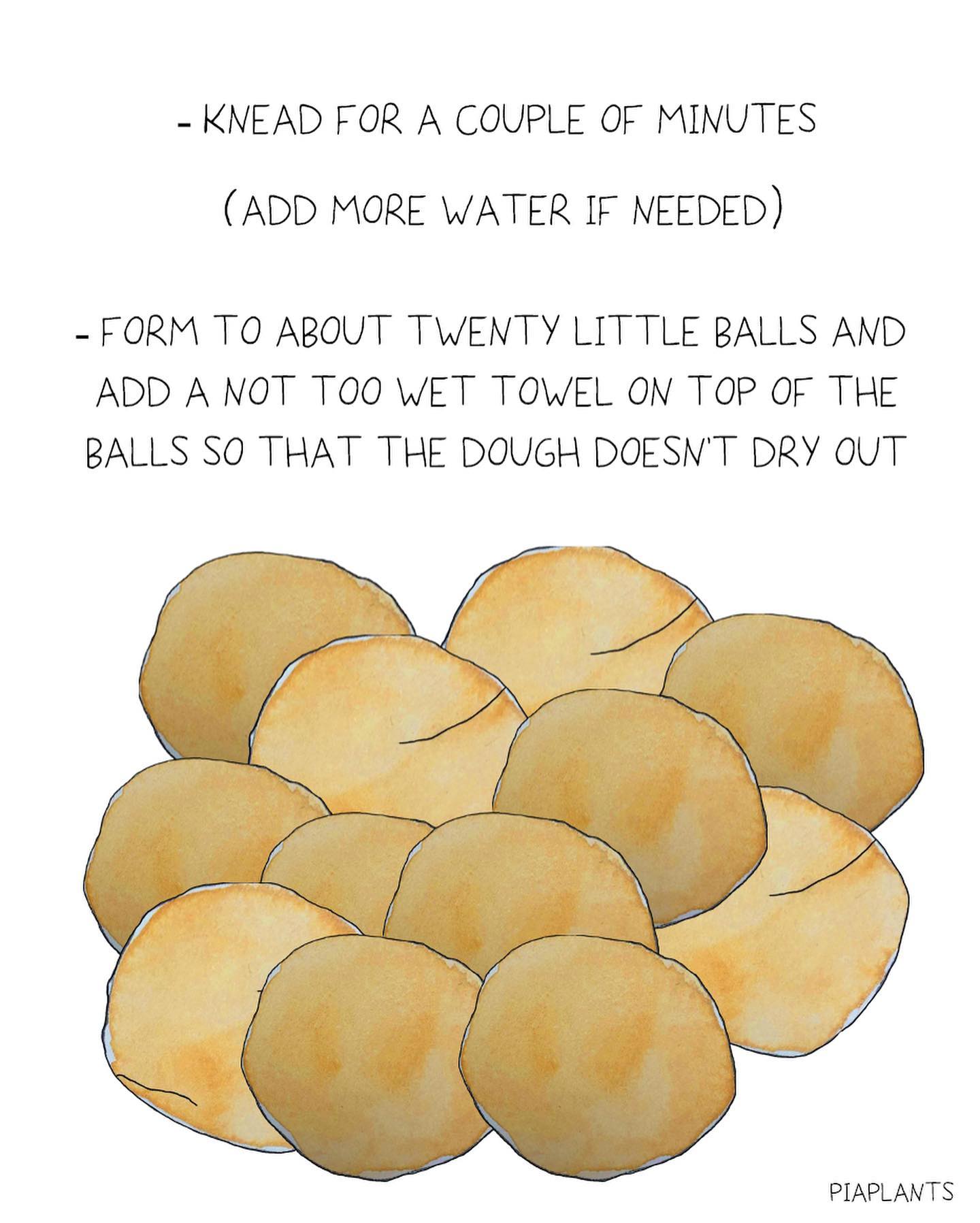 Easy Homemade Corn Tortillas