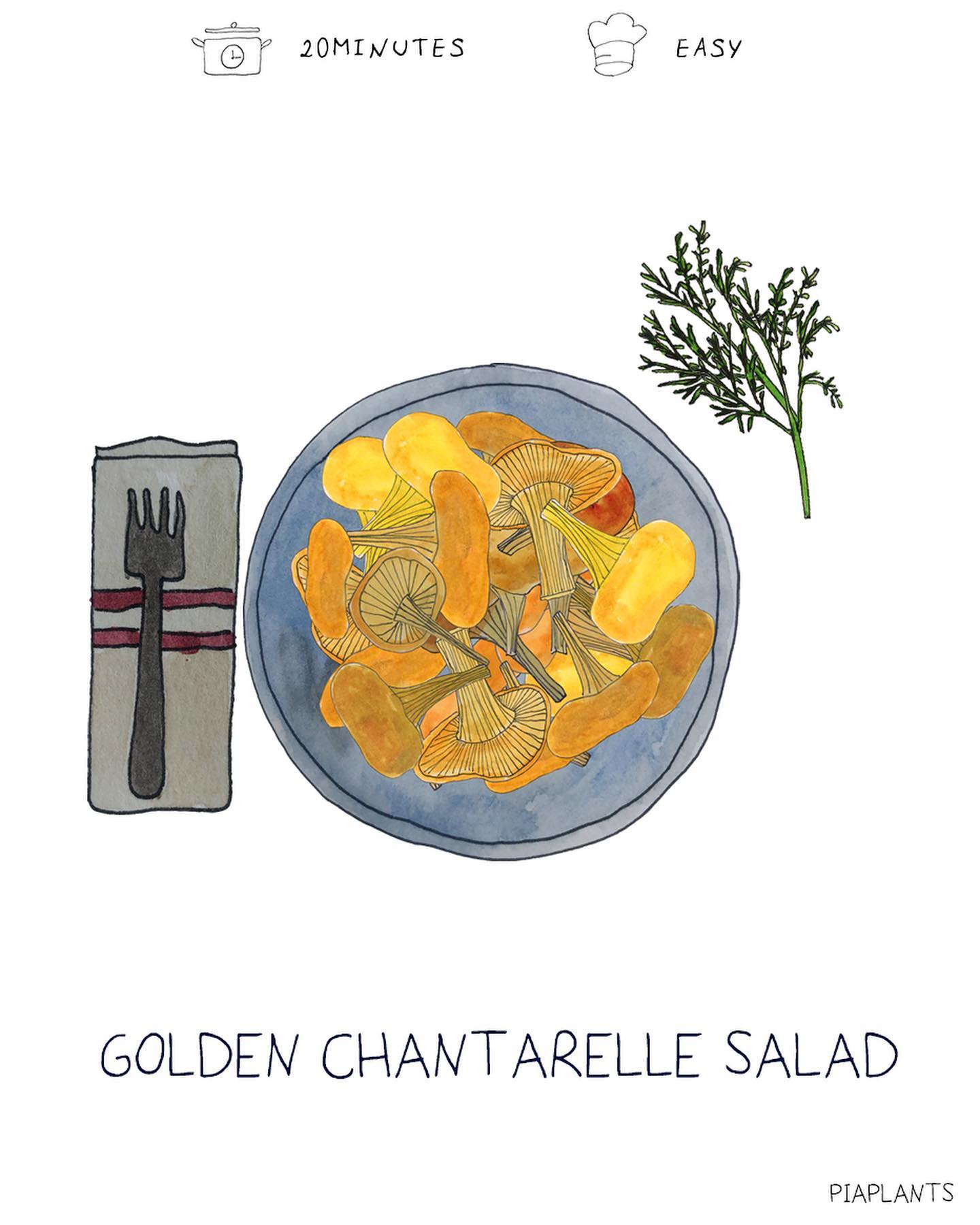 Easy Chanterelle Mushroom Delight