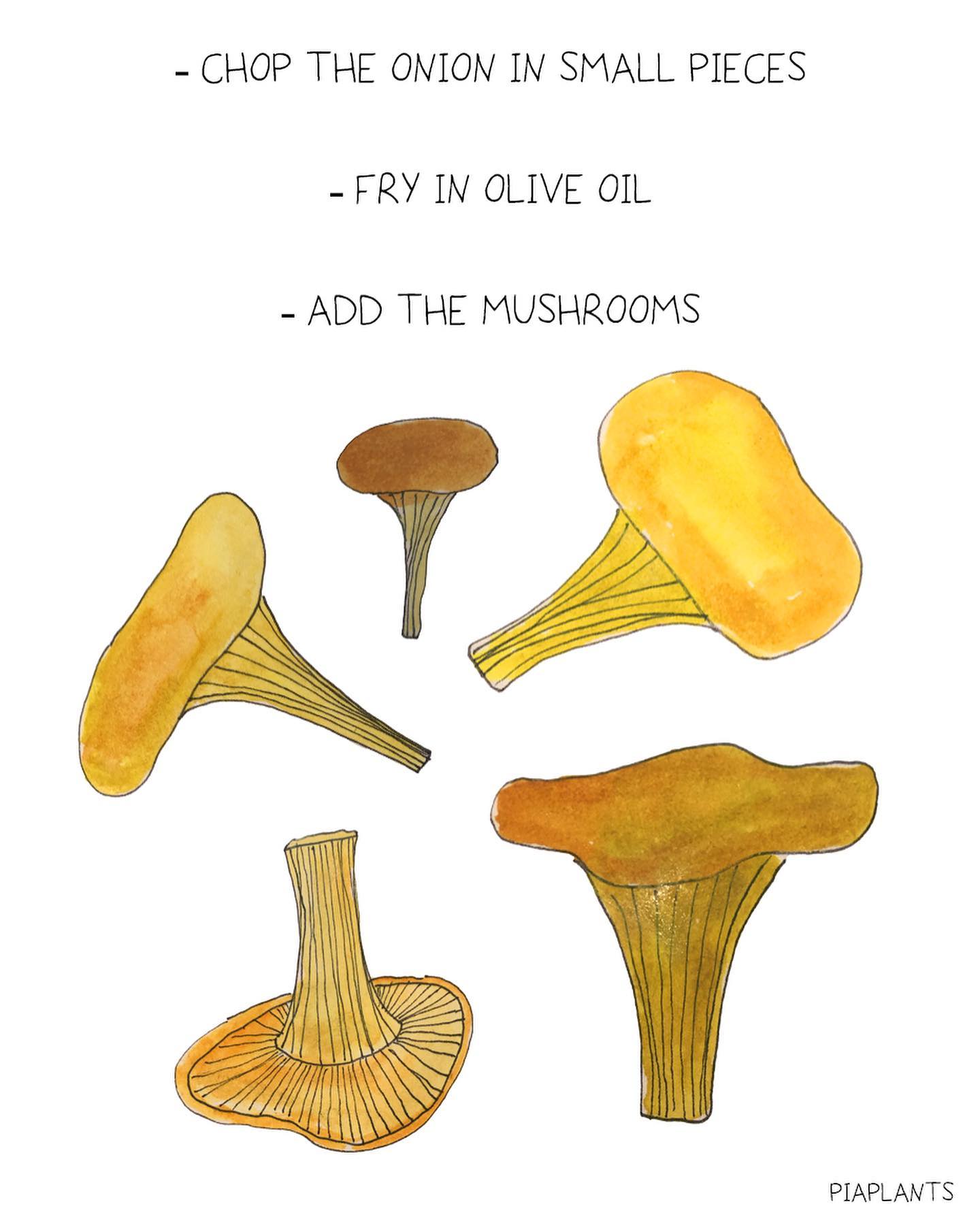 Easy Chanterelle Mushroom Delight