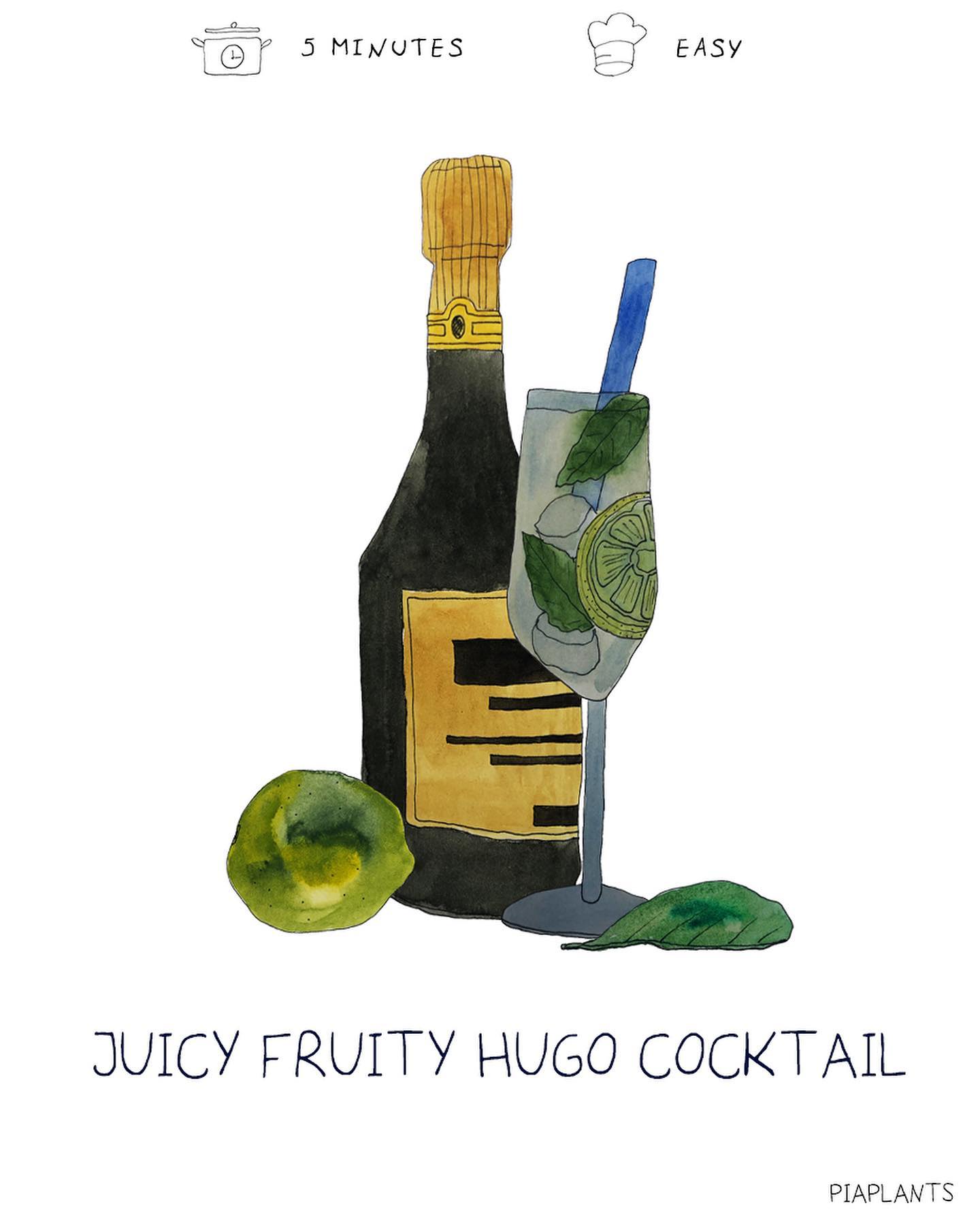 Sparkling Hugo Summer Drink