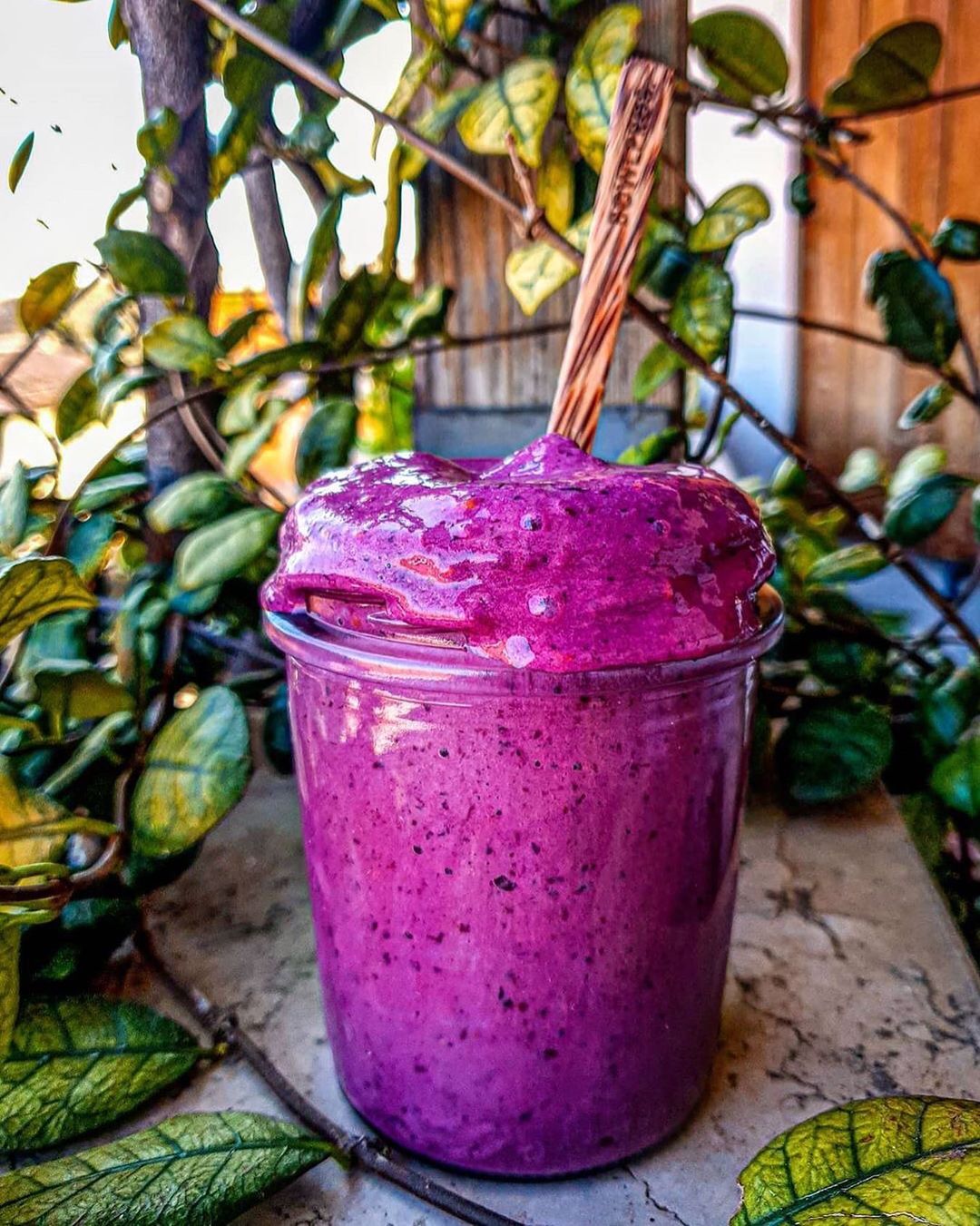 Vegan Wild Berry Banana Ice Cream