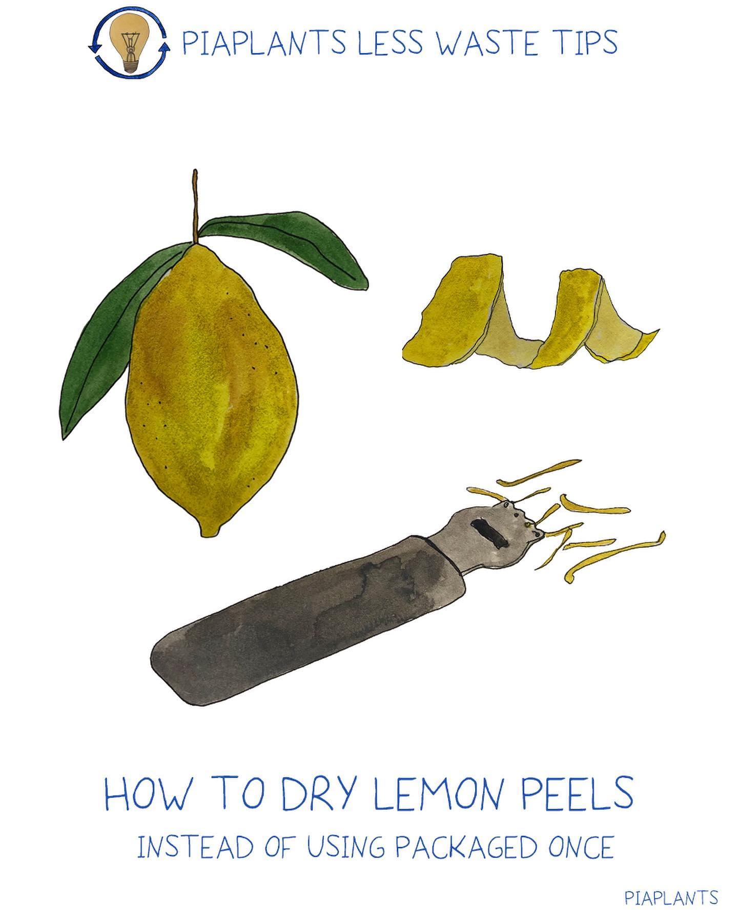 Homemade Dried Lemon Peel