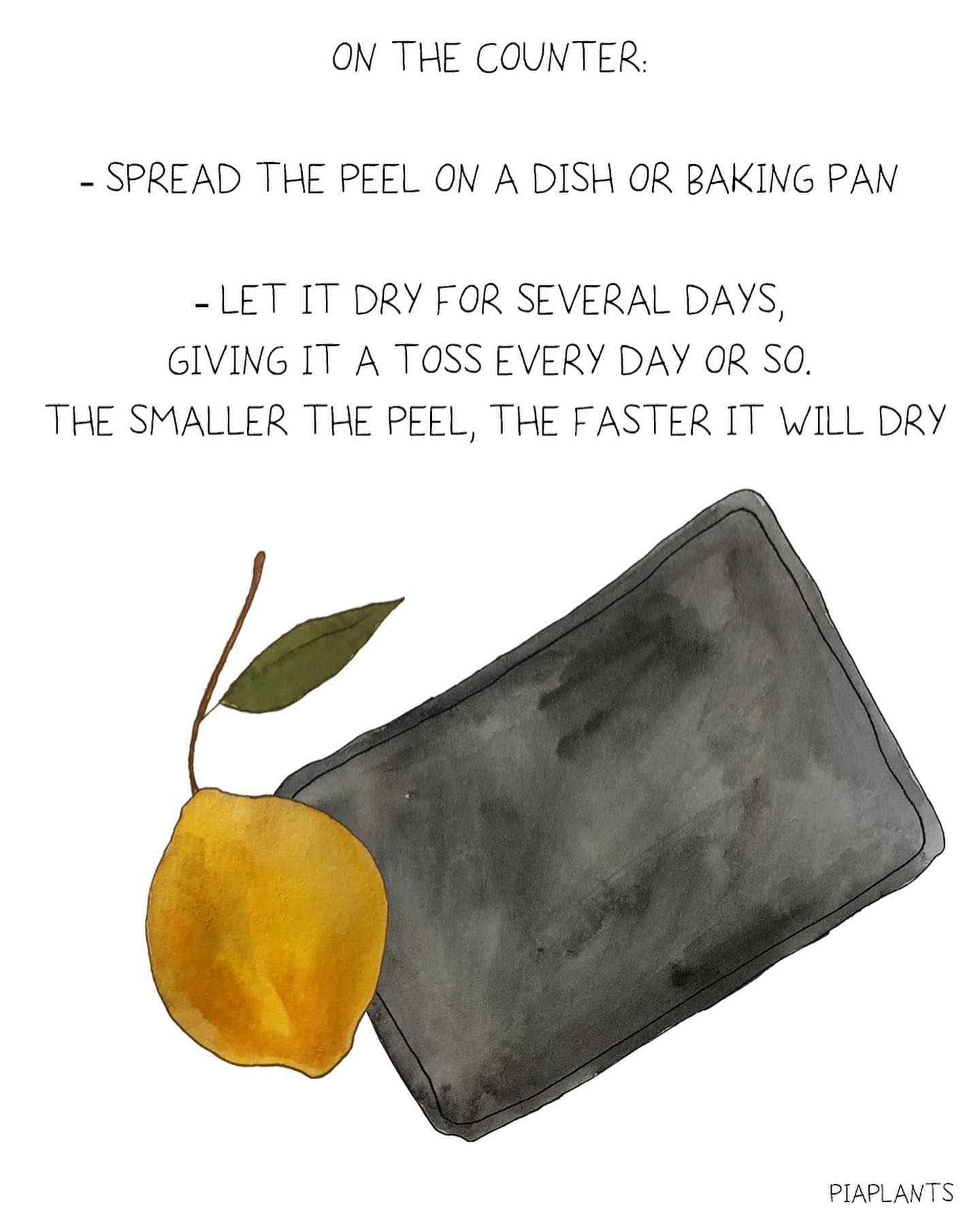 Homemade Dried Lemon Peel