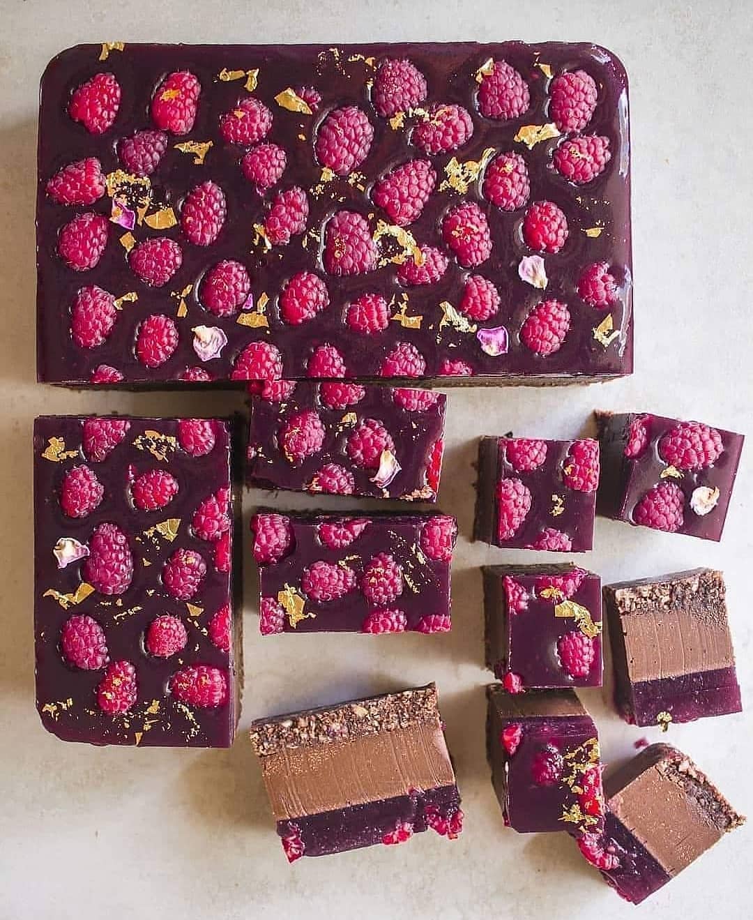 Vegan Chocolate Berry Jelly Slice