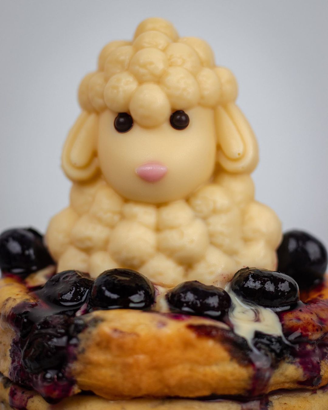 Protein Pancakes with Blueberries and White Chocolate