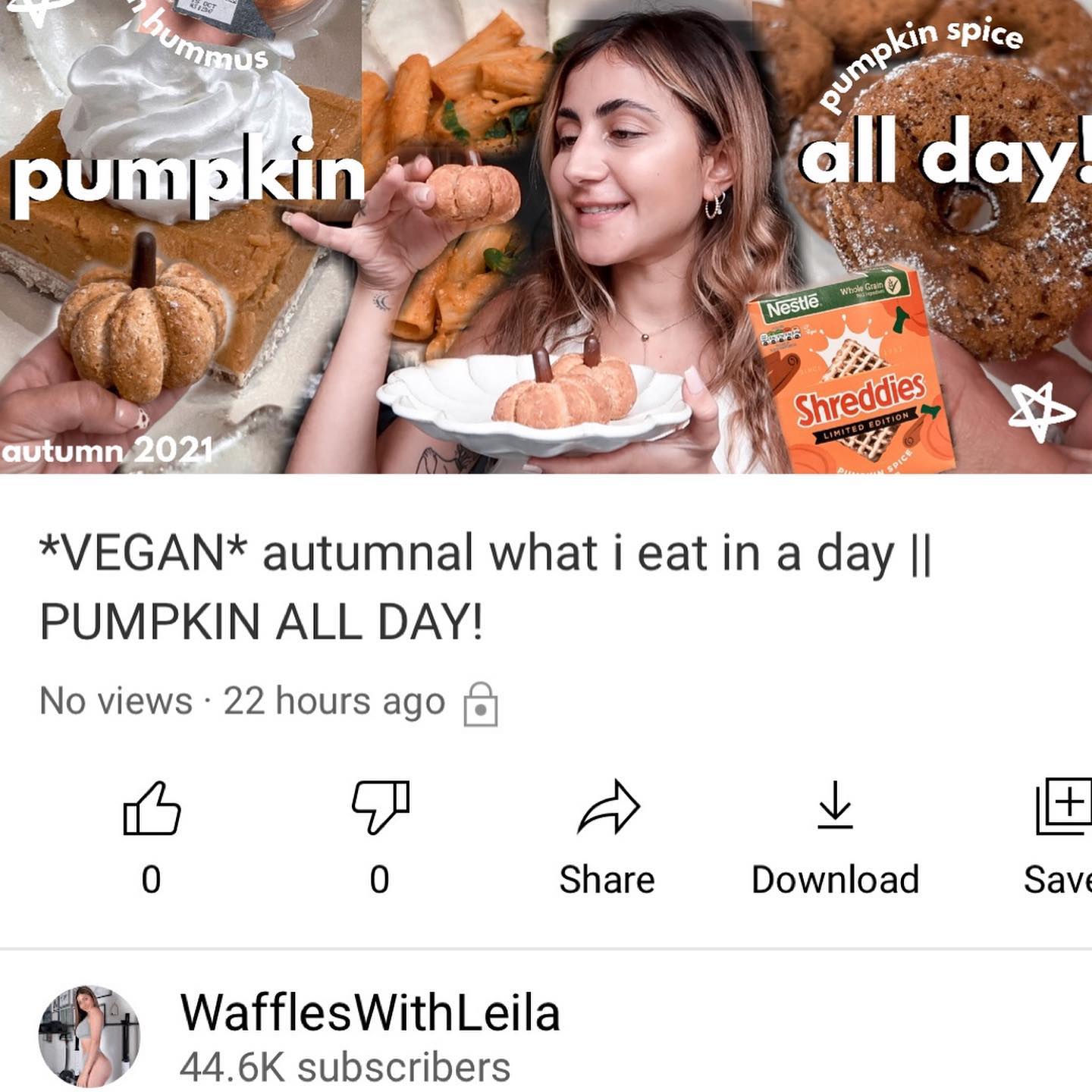Biscoff Filled Pumpkin Protein Bun