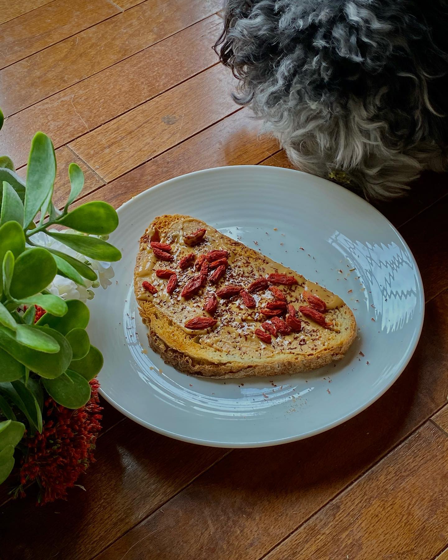 Peanut Butter Chocolate Goji Toast