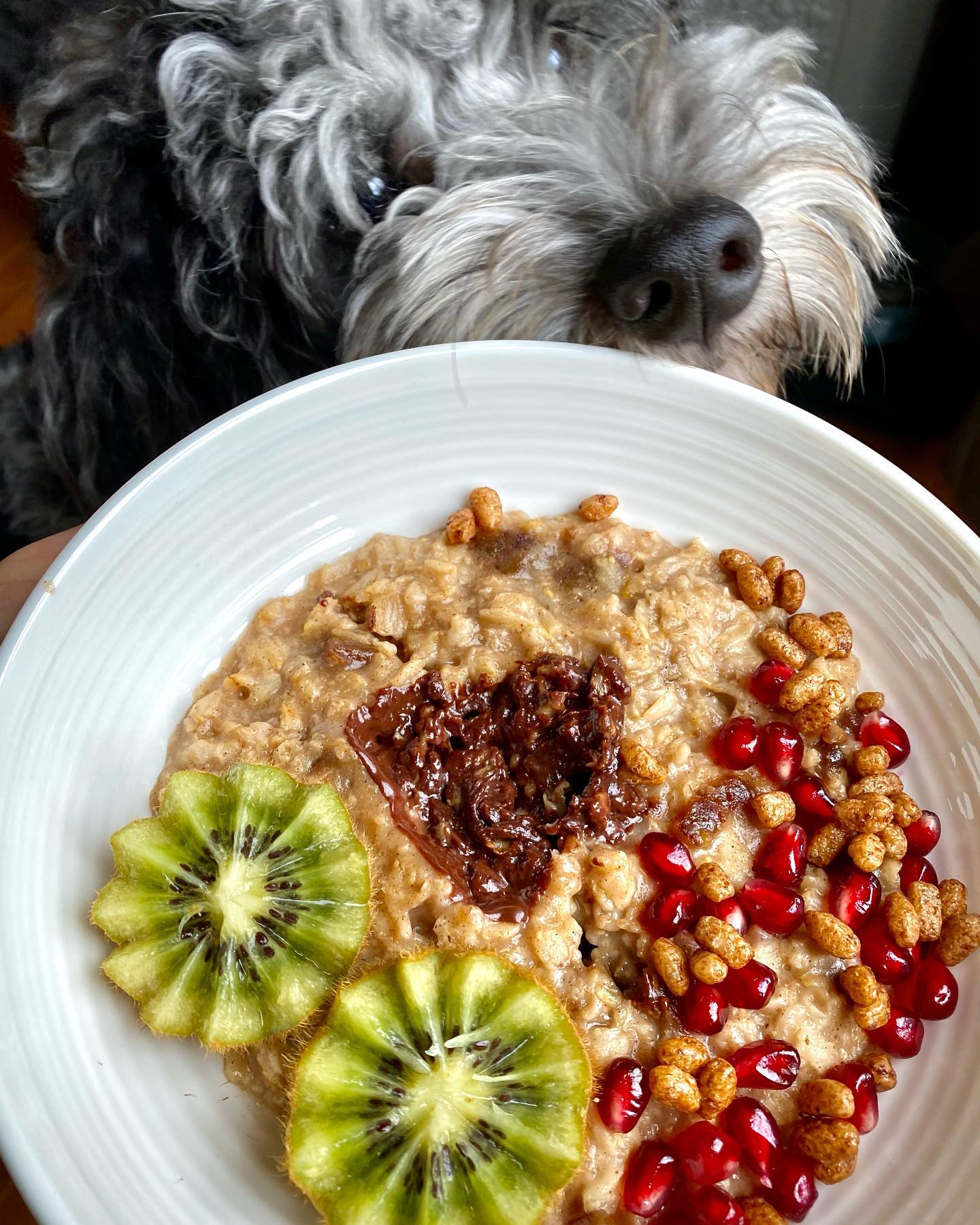 Nutty Spiced Oatmeal Bowl with Kiwi Flowers and Dark Chocolate Drizzle