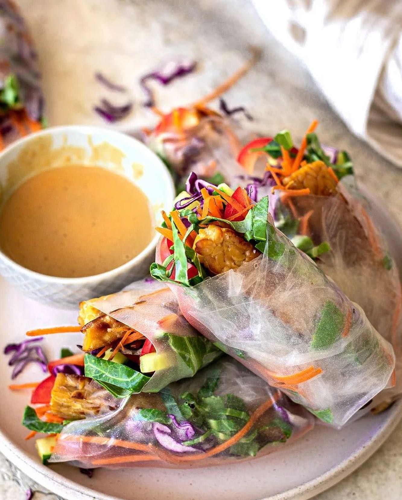 Vegan Summer Rolls with Tempeh and Peanut Dipping Sauce