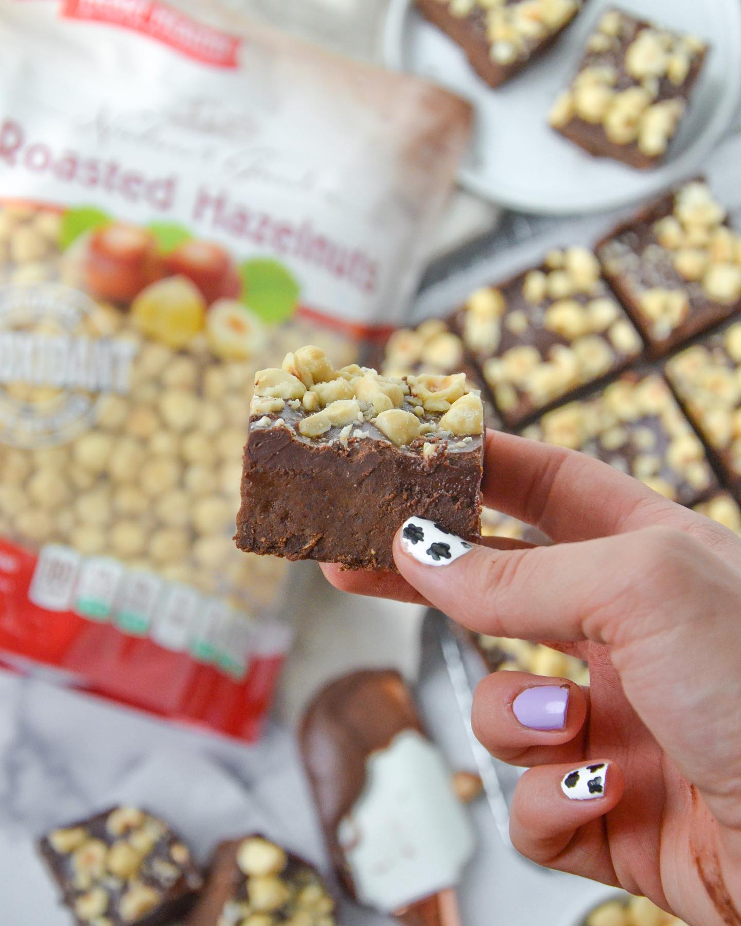 Decadent Hazelnut Brownies with Chocolate Glaze