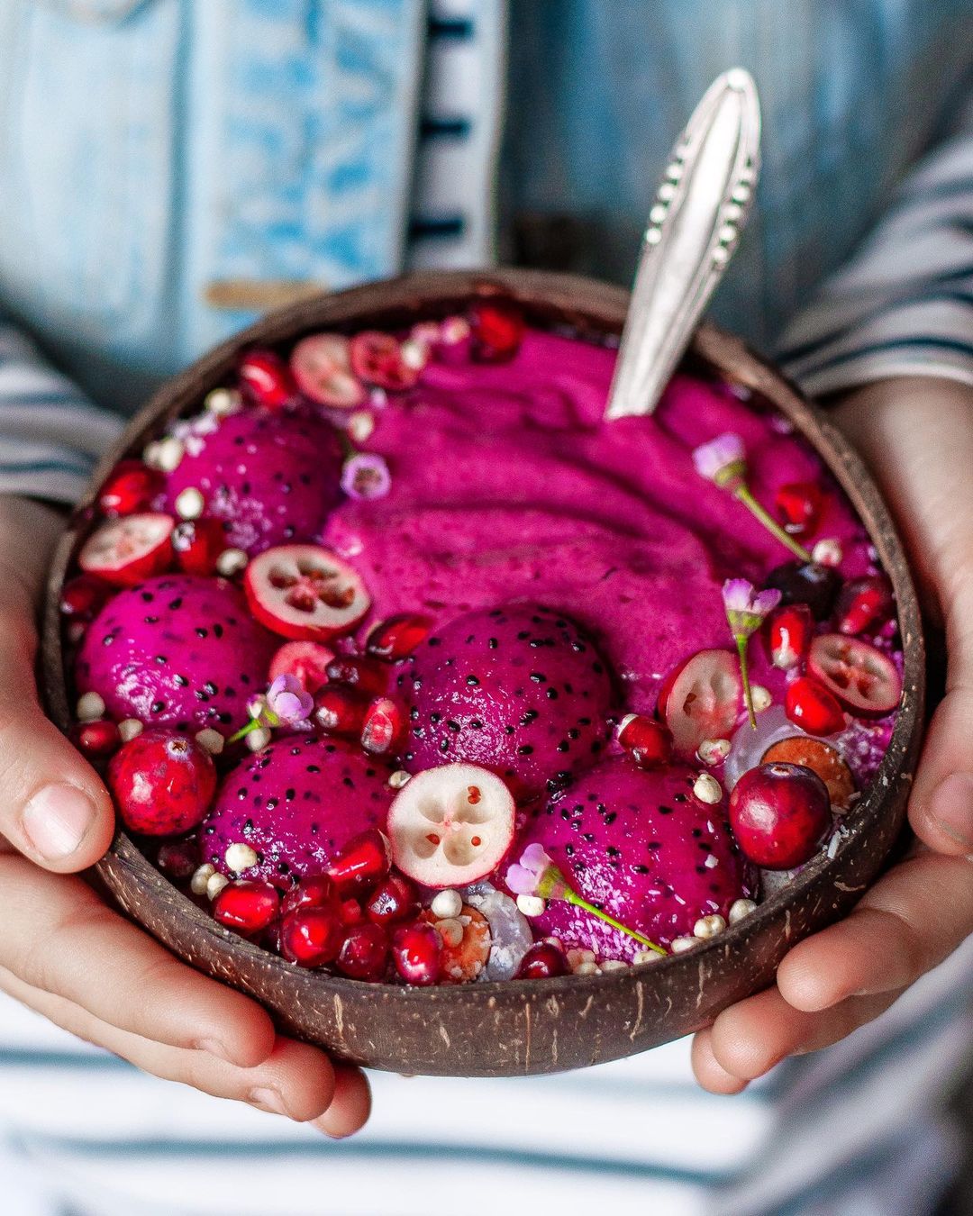 Pitaya Cranberries Chia Nicecream