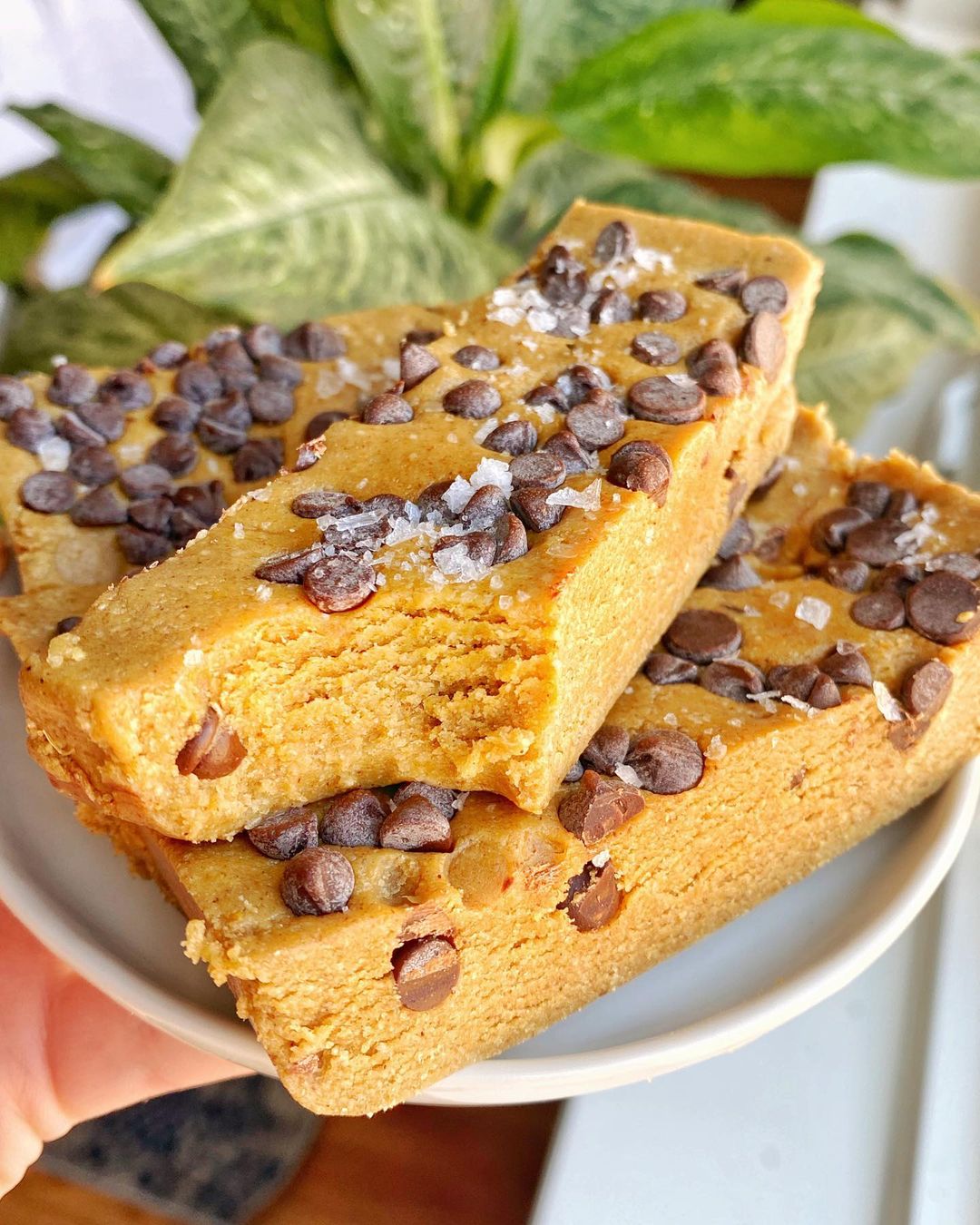 Pumpkin Pie Protein Bars