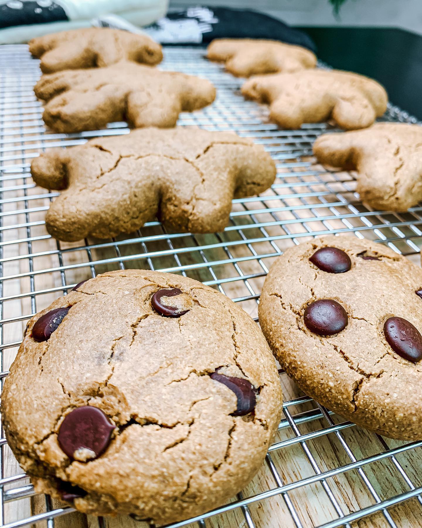 Festive Gingerbread Cookies with Vegan Icing