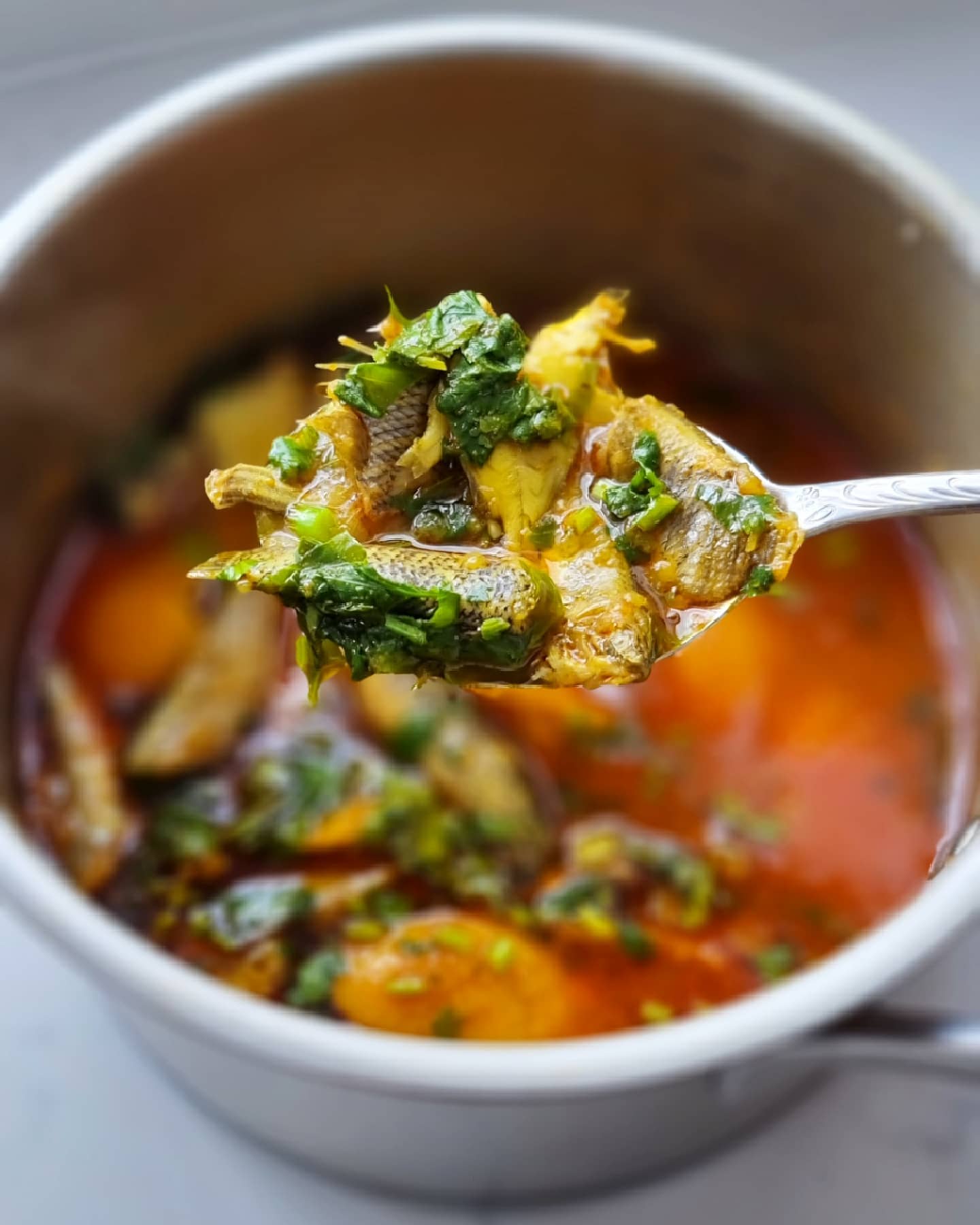 Doratana Mas - Bengali Net Caught Fish Curry