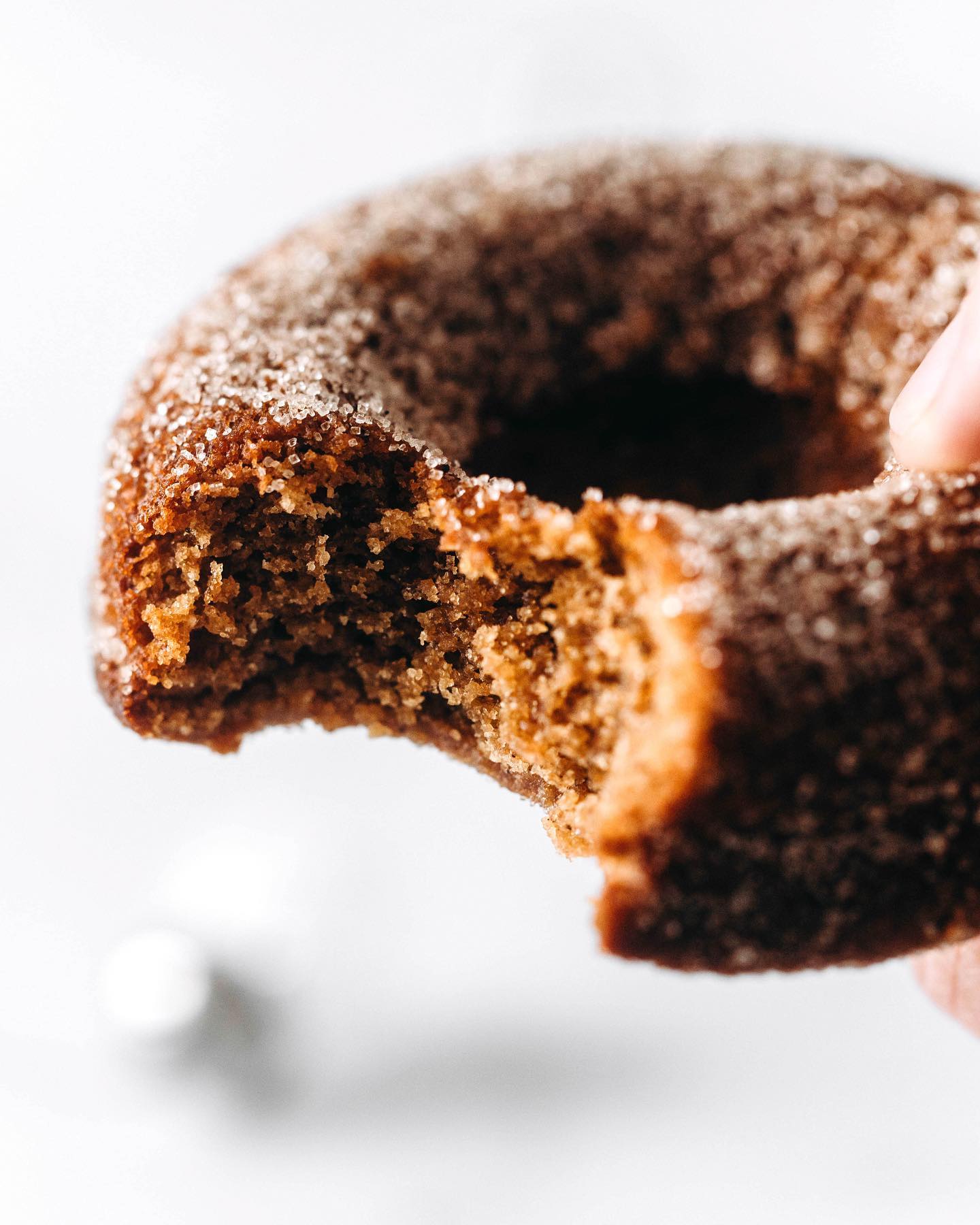 Simple Spiced Vegan/paleo Gingerbread Donuts
