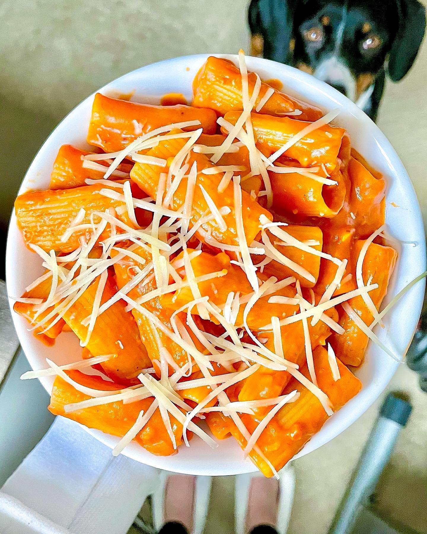 One Pot Spicy Rigatoni Pasta Dish