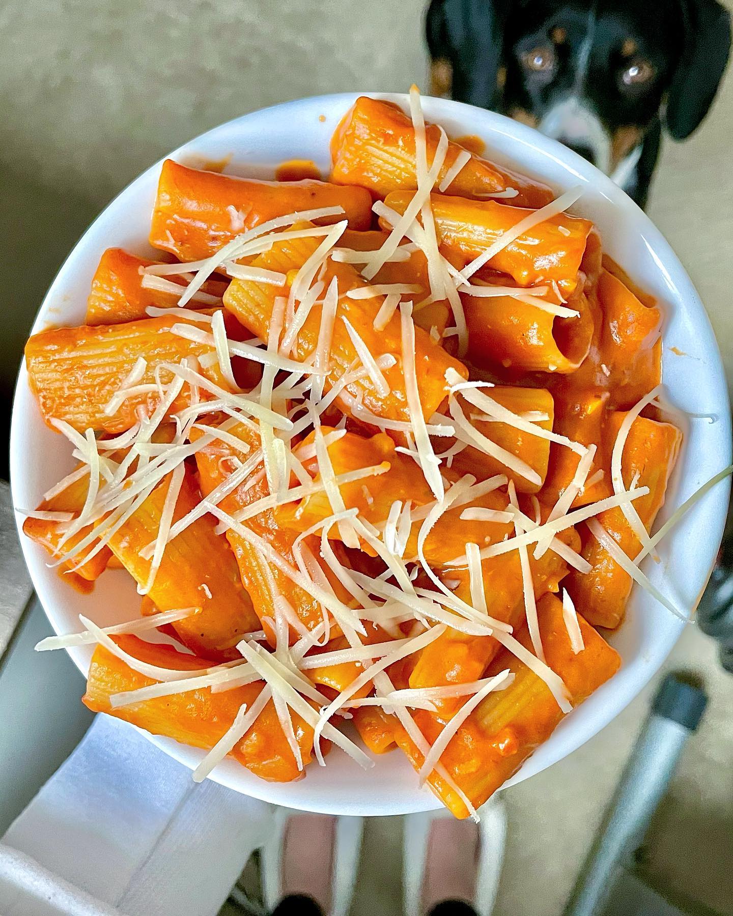 One Pot Spicy Rigatoni