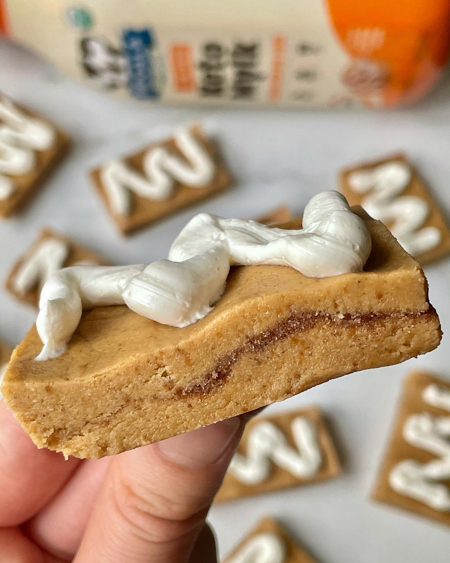 Cinnamon Roll Protein Bites