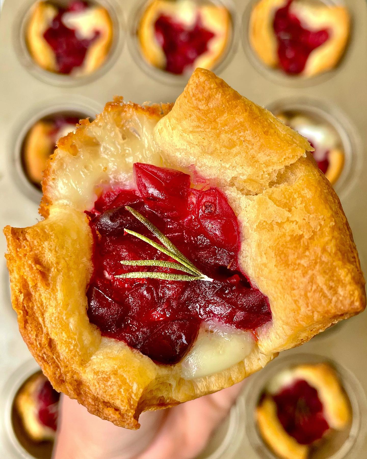 Easy Cranberry Brie Bites Appetizer