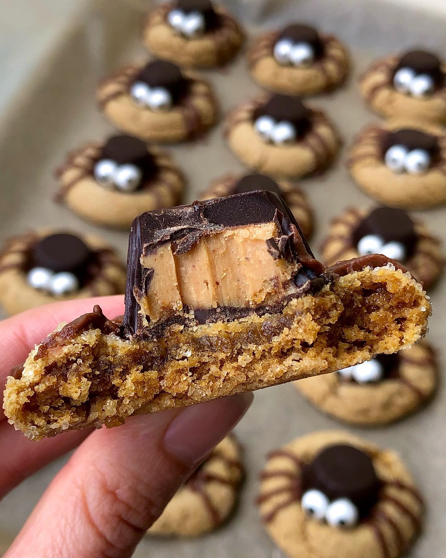 Dark Chocolate Peanut Butter Spider Cookies