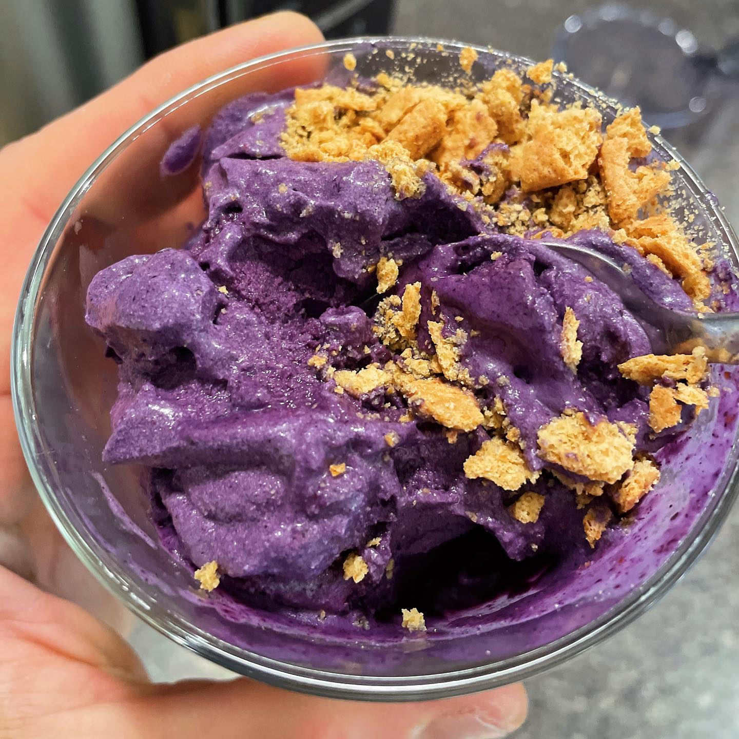 Vegan Blueberry Peanut Butter Ice Cream