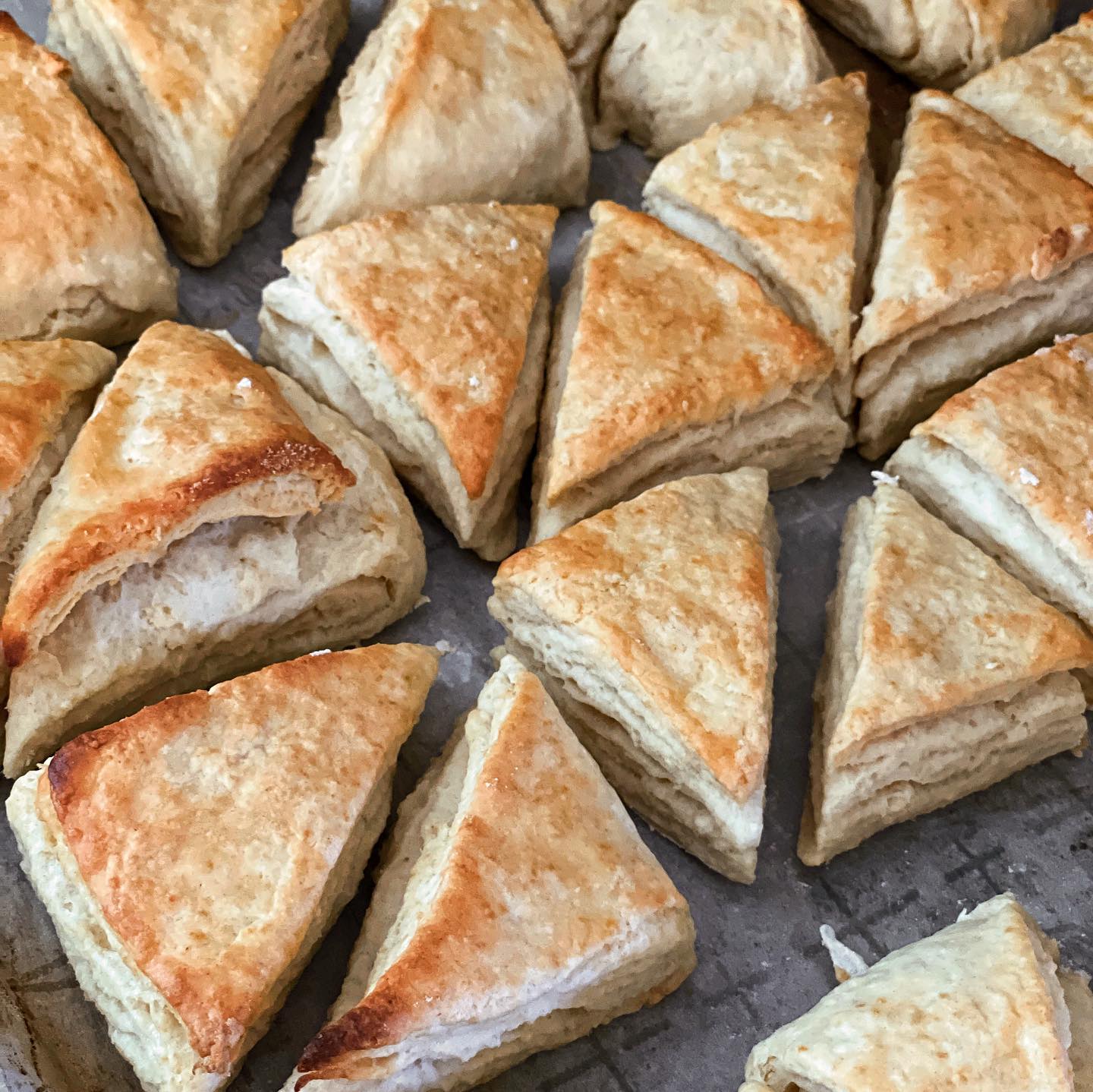 Flaky and Crisp Vegan Biscuits