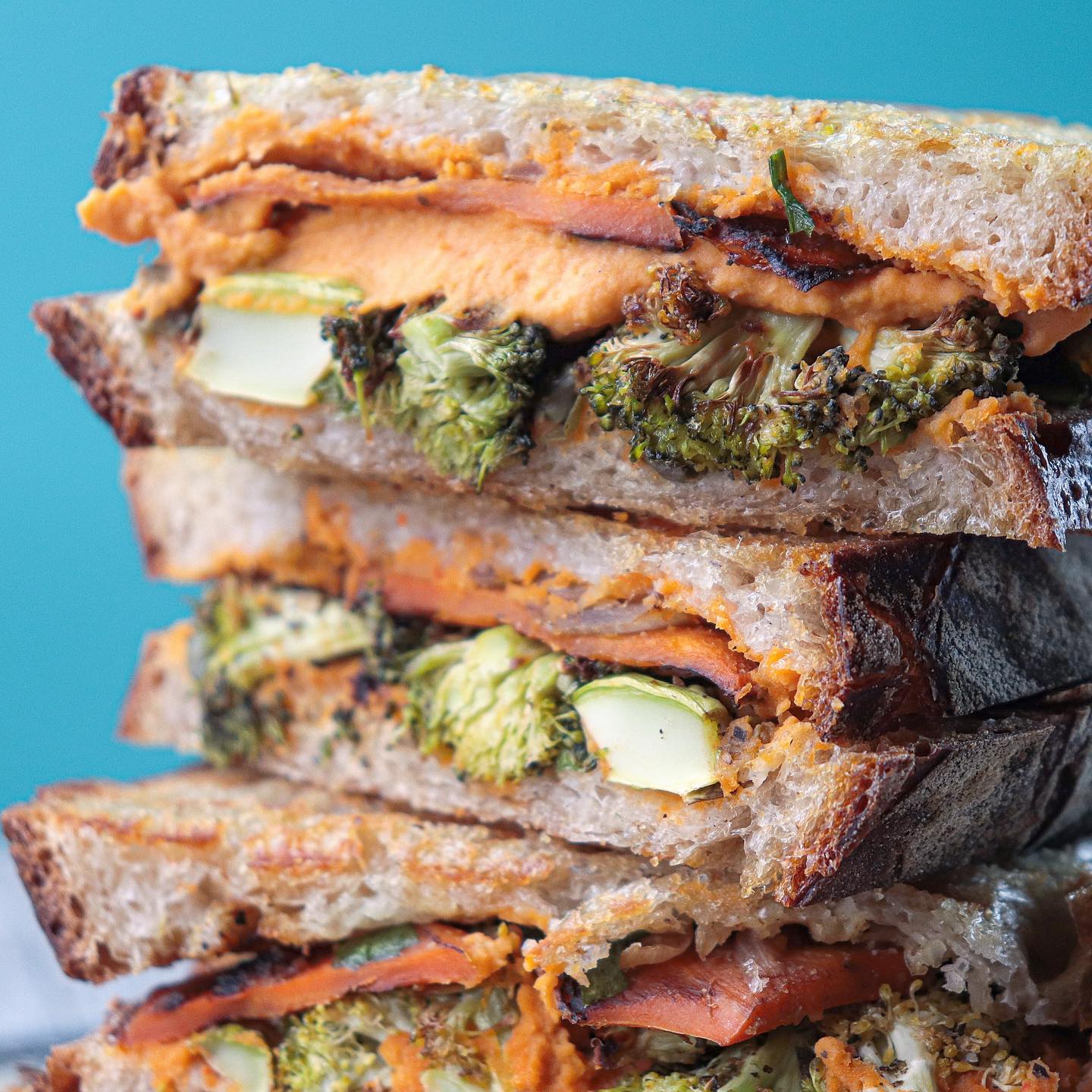 Veggie Powered Panini Sandwich