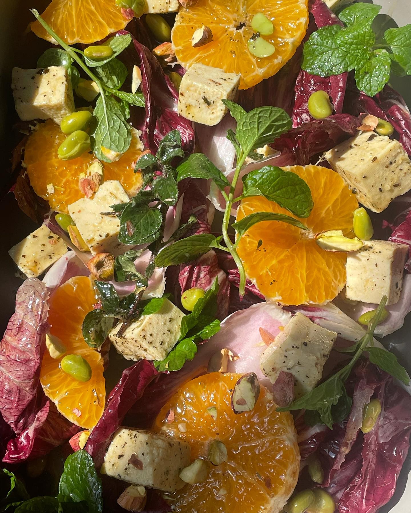 Marinated Tofu and Radicchio Salad with Mint