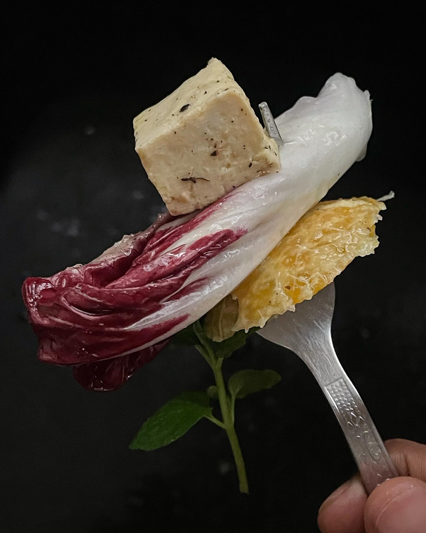 Marinated Tofu and Radicchio Salad with Mint