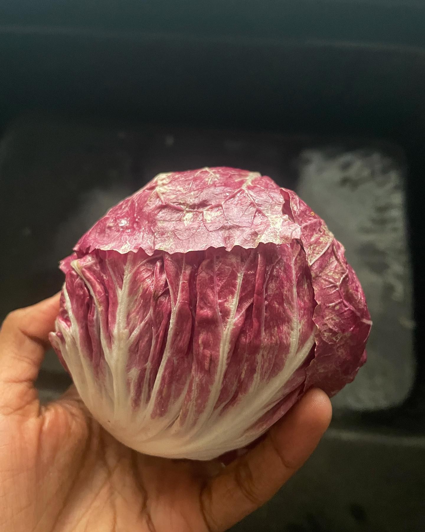 Marinated Tofu and Radicchio Salad with Mint