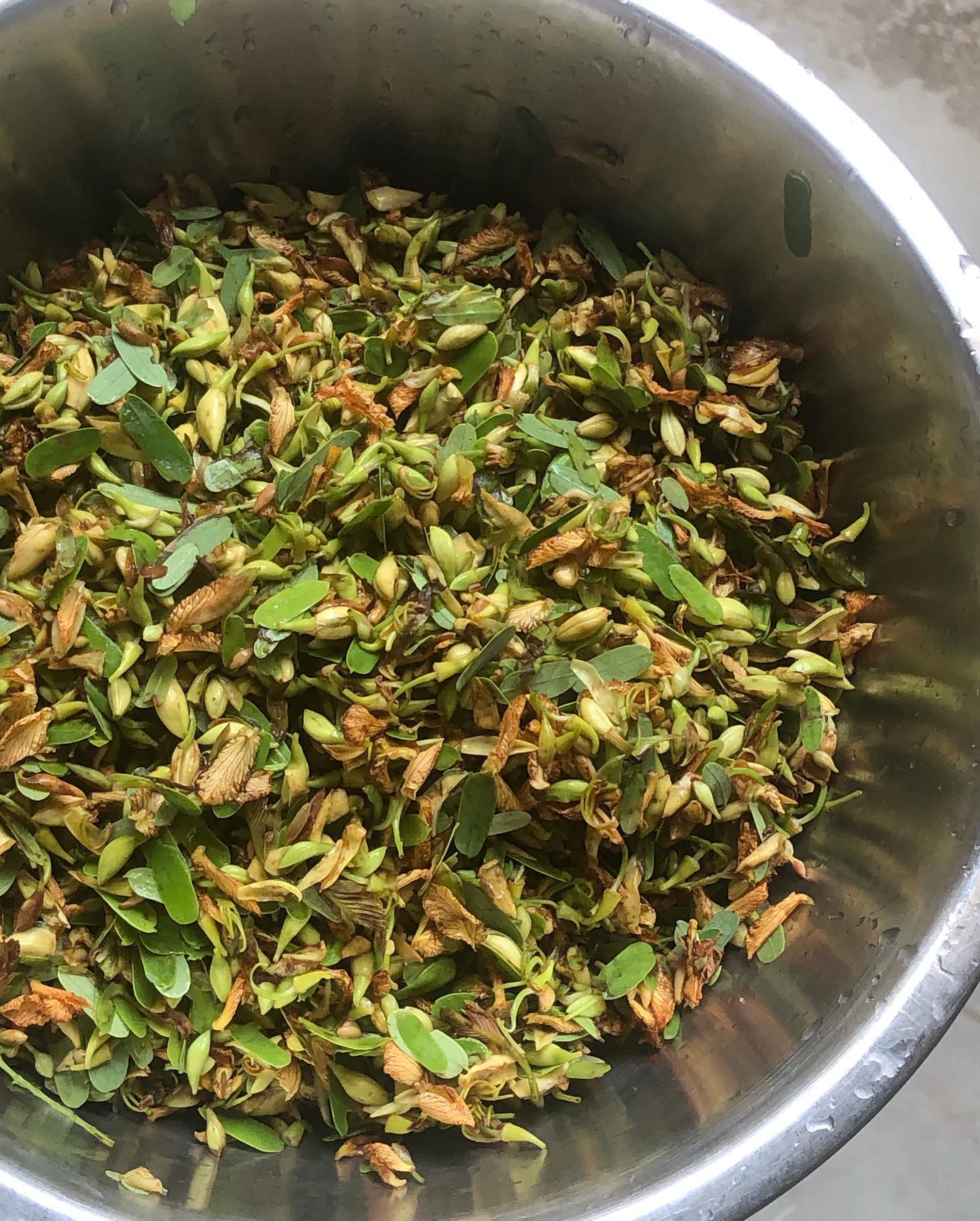Tamarind Flower Hemp Chutney