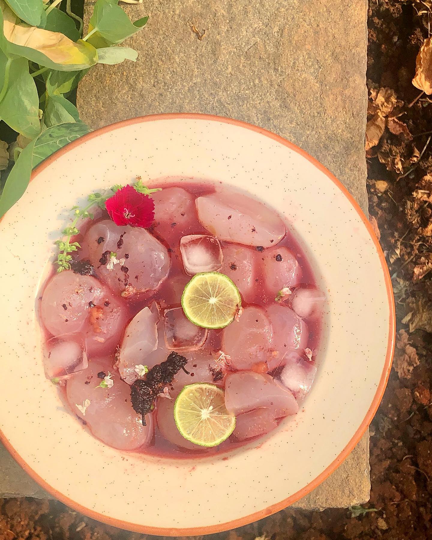 Drunken Nungu Salad with Gin and Fruits