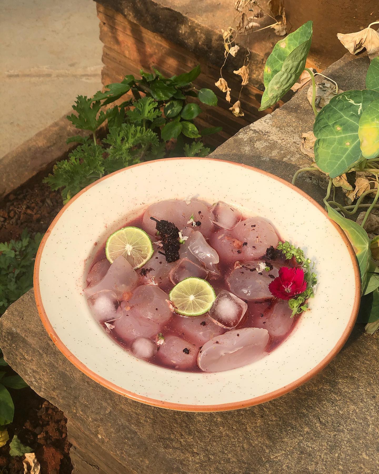 Drunken Nungu Salad with Gin and Fruits