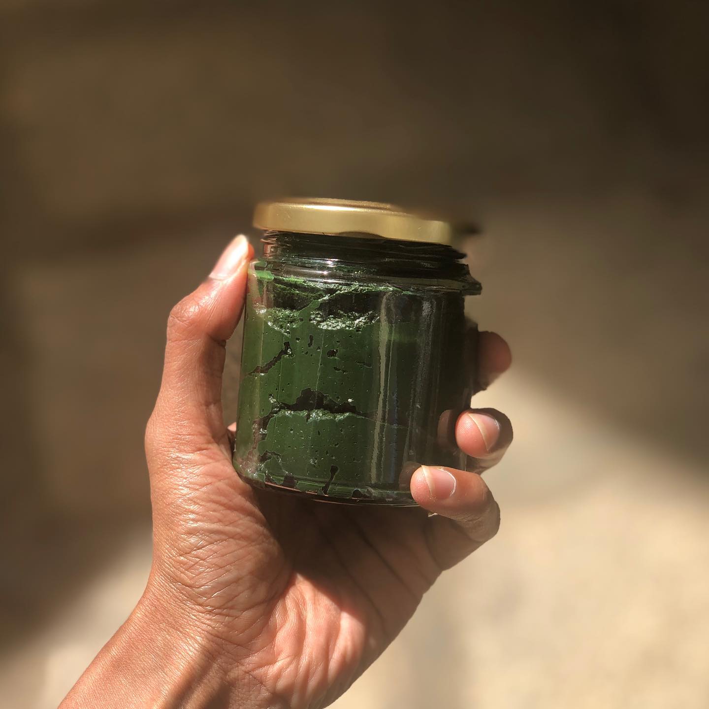 Fresh Spirulina and Cheese Toast