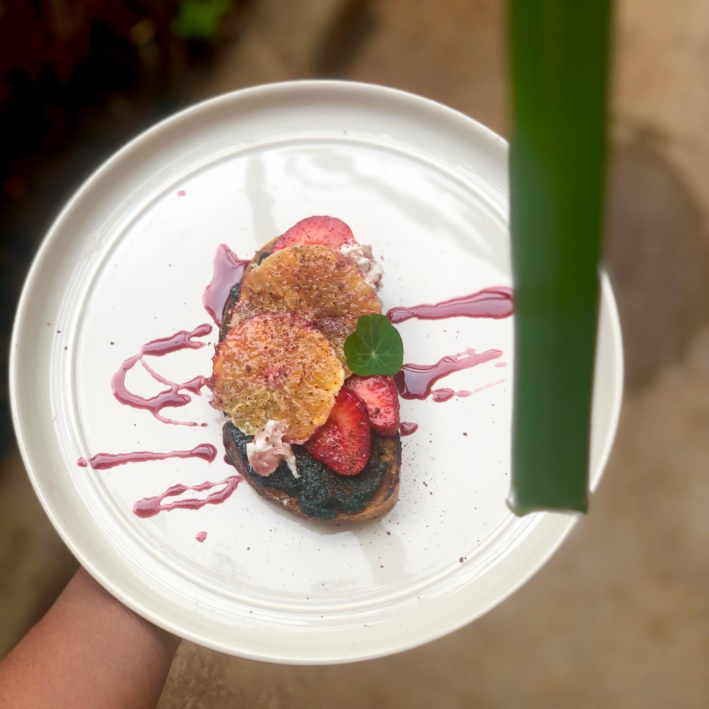 Fresh Spirulina and Cheese Toast